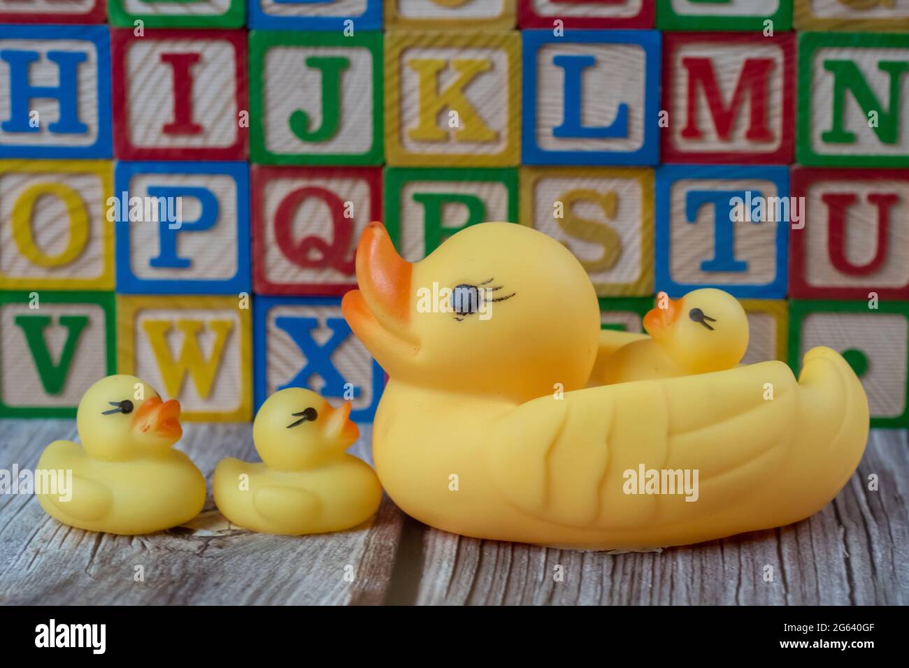 Entenspielzeug aus Gummi vor dem Holzblock für die Kindererziehung Stockfoto