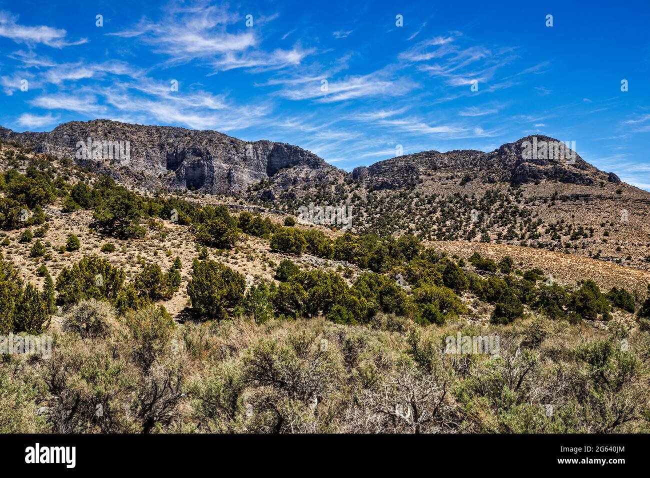 Felsformationen über dem Miller Canyon, Pinyon-Wacholder-Wald, Sageburst-Gestrüpp, House Range, Sevier Desert, Great Basin Desert, Utah, USA Stockfoto