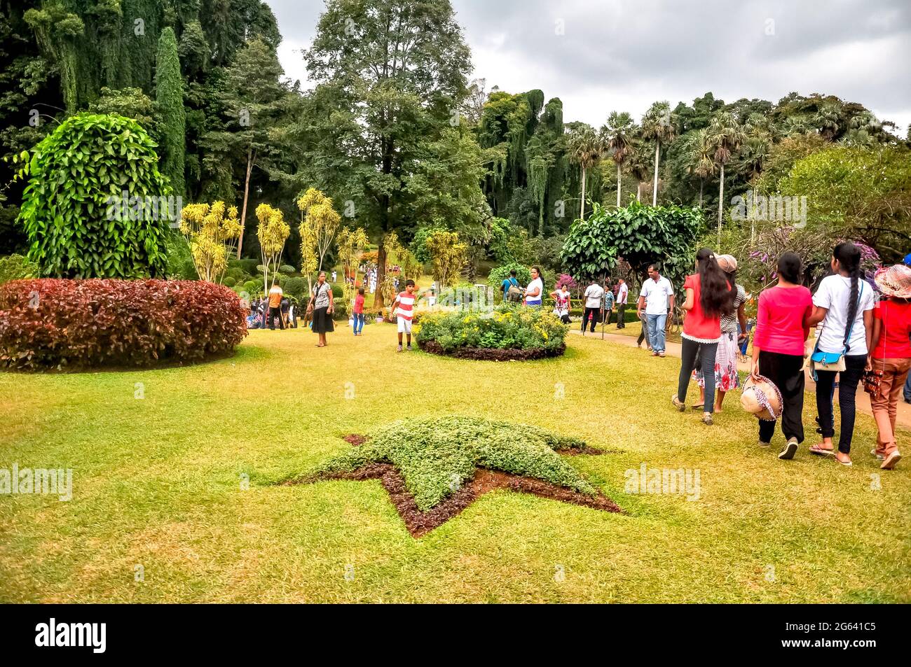 Königlicher botanischer Garten peradeniya, sri lanka Stockfoto