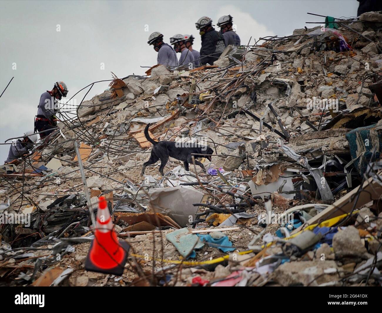 Surfside, Florida, USA. Juli 2021. FEMA Urban Search and Rescue Workers verwenden einen Leibeidenhund, während sie in der zusammengebrochenen Champlain Towers South Condominium am 1. Juli 2021 in Surfside, Florida, durch Trümmer siebt. Quelle: Planetpix/Alamy Live News Stockfoto