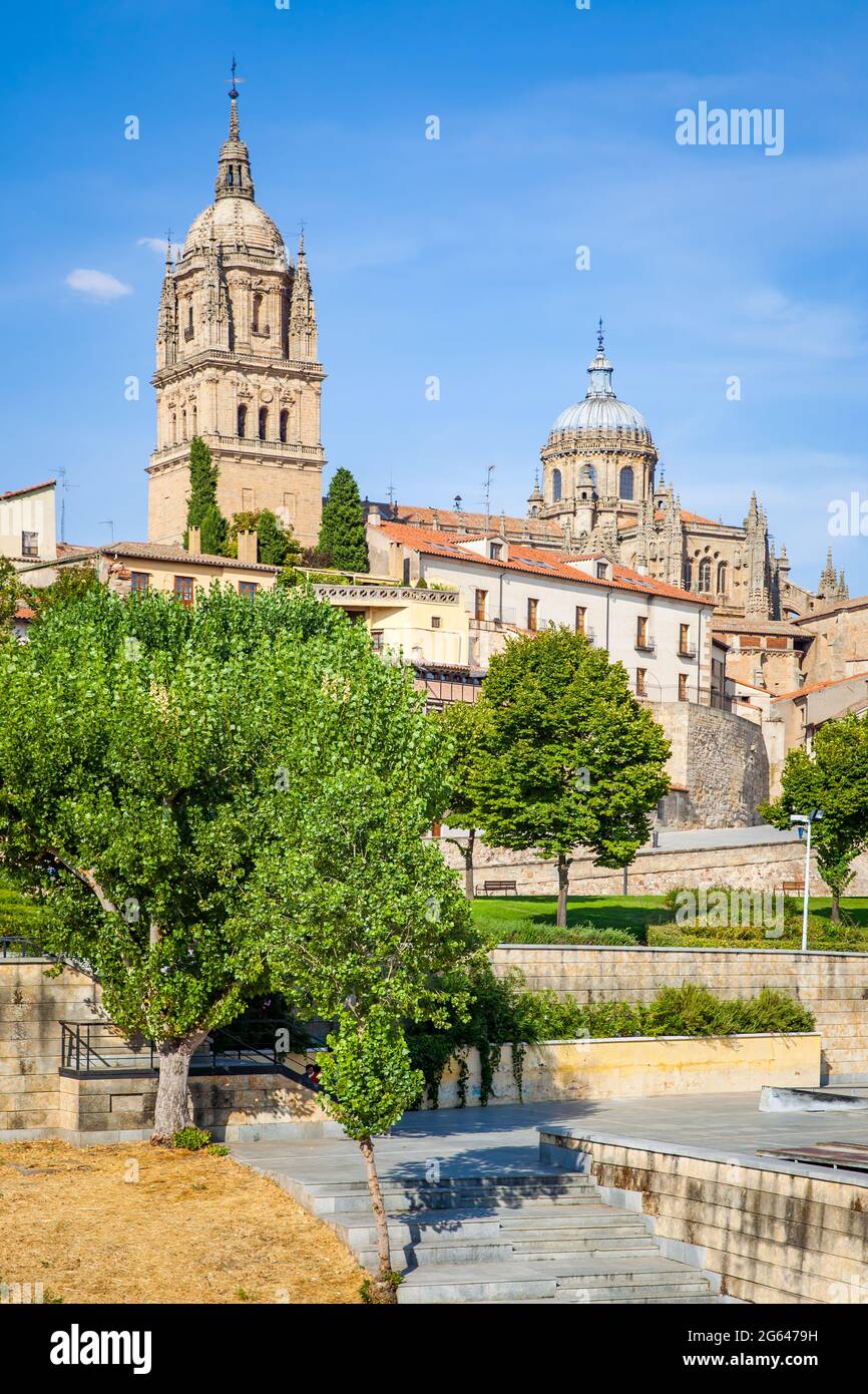 Öffentlicher Garten und Kathedrale in Salamanca, Spanien. Stadtbild Stockfoto