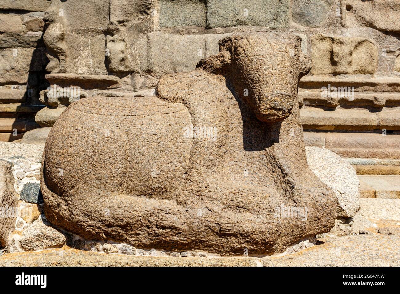 Nandi-Statue im Shore Temple Complex (Pallava-Dynastie) in Mamallapuram, Tamil Nadu, Südindien, Asien Stockfoto