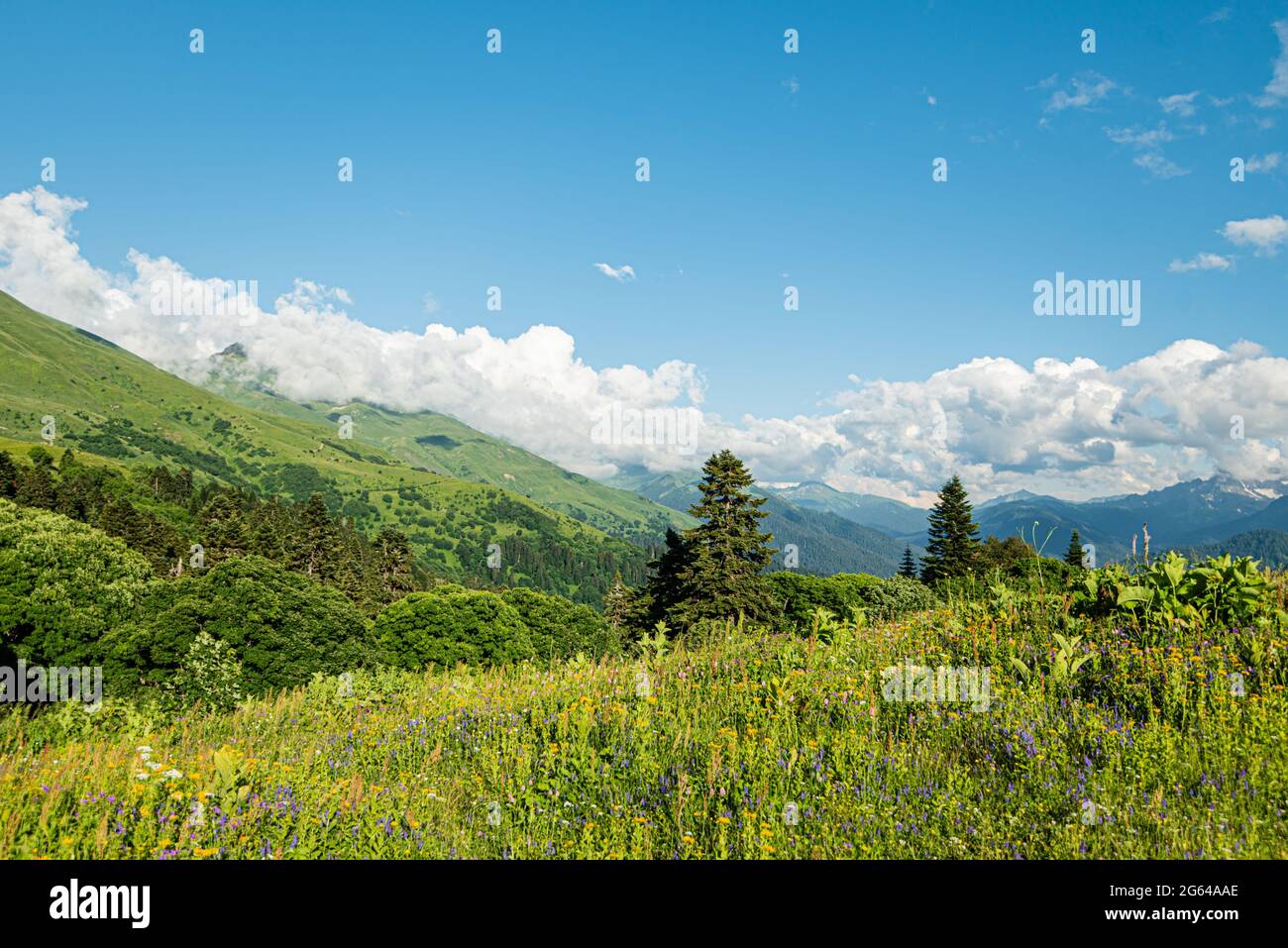 Berglandschaft Sommer Wälder Wiesen Gras Blumen Himmel Wolken faszinierendes Panorama Kaukasischen Grat blühende Grün Stockfoto
