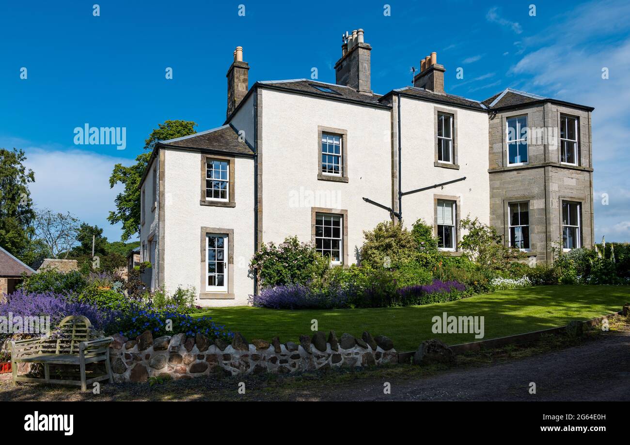 East Lothian, Schottland, Großbritannien, 2. Juli 2021. Scotland's Garden Scheme neue Garteneröffnung: Shane Corstorphine, ehemaliger CFO von Skyscanner und begeisterter Gärtner, hat 4 Jahre damit verbracht, die Gärten von Camptoun House zum ersten Mal für die Eröffnung vorzubereiten, um Geld für einen ummauerten Garten in Gilmerton zu sammeln. Es gibt einen Küchengarten, einen ummauerten Garten, einen Obstgarten und einen Märchenpfad.die Gärten werden nur an diesem Wochenende geöffnet sein. Im Bild: Camptoun House, ein georgianisches Landhaus, mit einem Blumenbeet aus Katzenminze oder nepeta Stockfoto