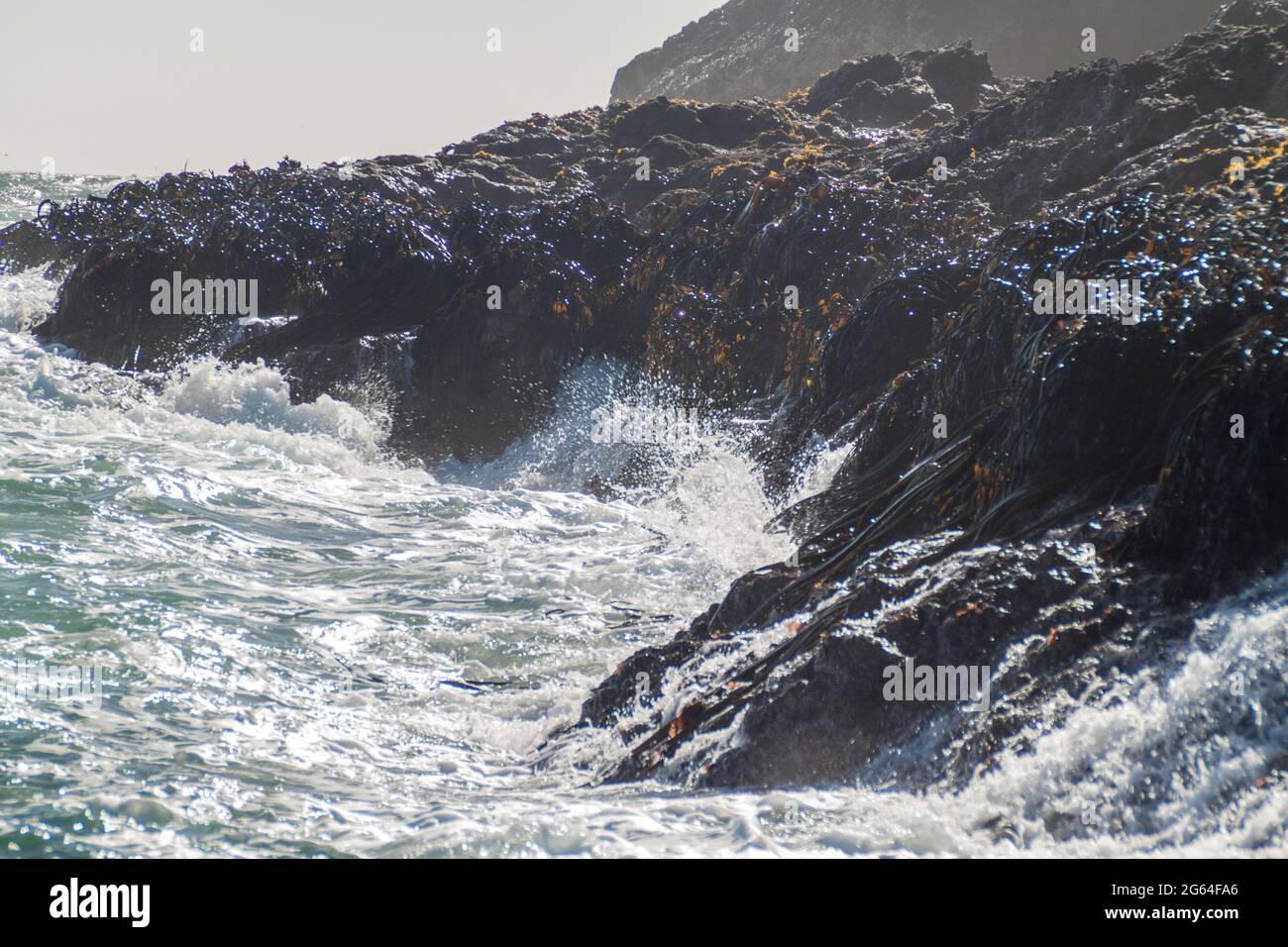 Große Wellen planschen auf Inseln im geschützten Gebiet Monumento Nacional Islotes de Punihuil auf der chiloe Insel, Chile Stockfoto