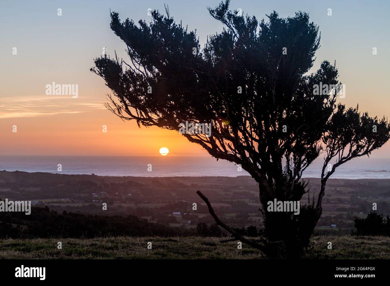 Sonnenuntergang hinter einem Busch. Chiloe Island, Chile Stockfoto