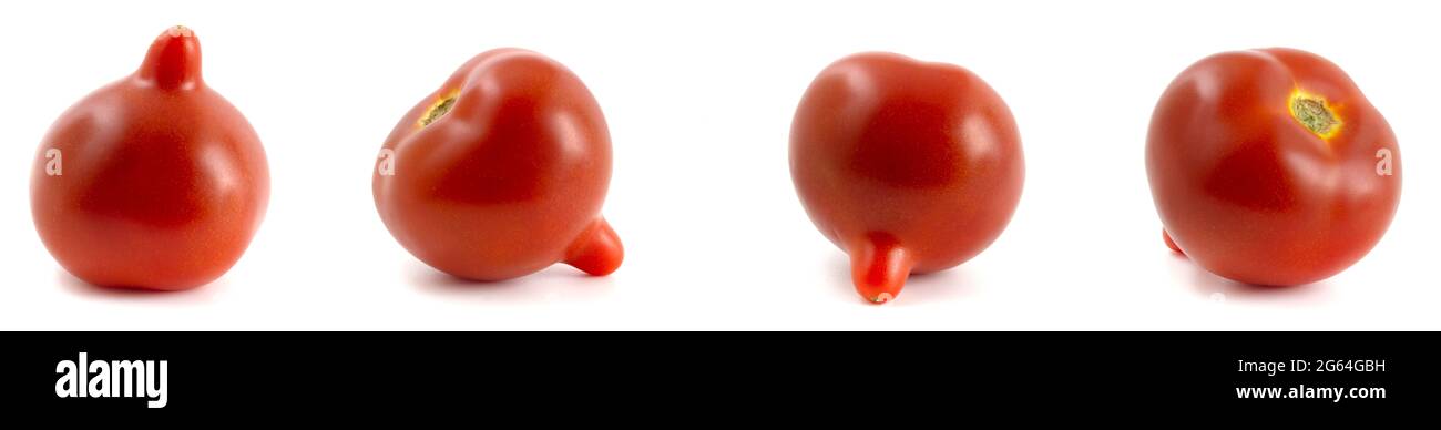 4 Tomaten isoliert auf weißem Hintergrund, Sammlung von vier Fotos von Tomaten mit verschiedenen Positionen. Stockfoto