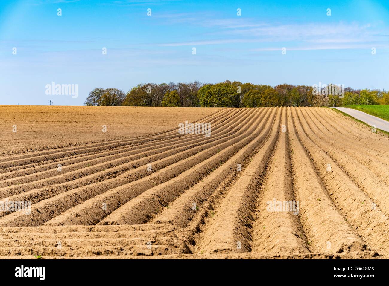 Blick auf die gepflügten Felder im Frühjahr zum Wachsen Stockfoto