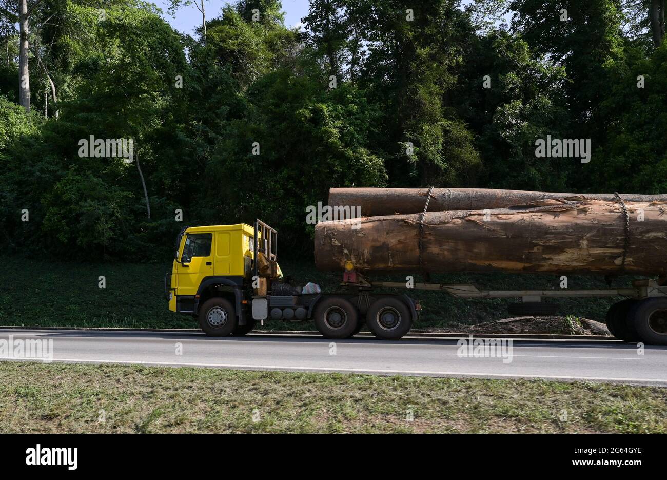 ELFENBEINKÜSTE, Abholzung und Holzhandel nach China / ELFENBEINKUESTE, Abholzung und Holzhandel nach China Stockfoto