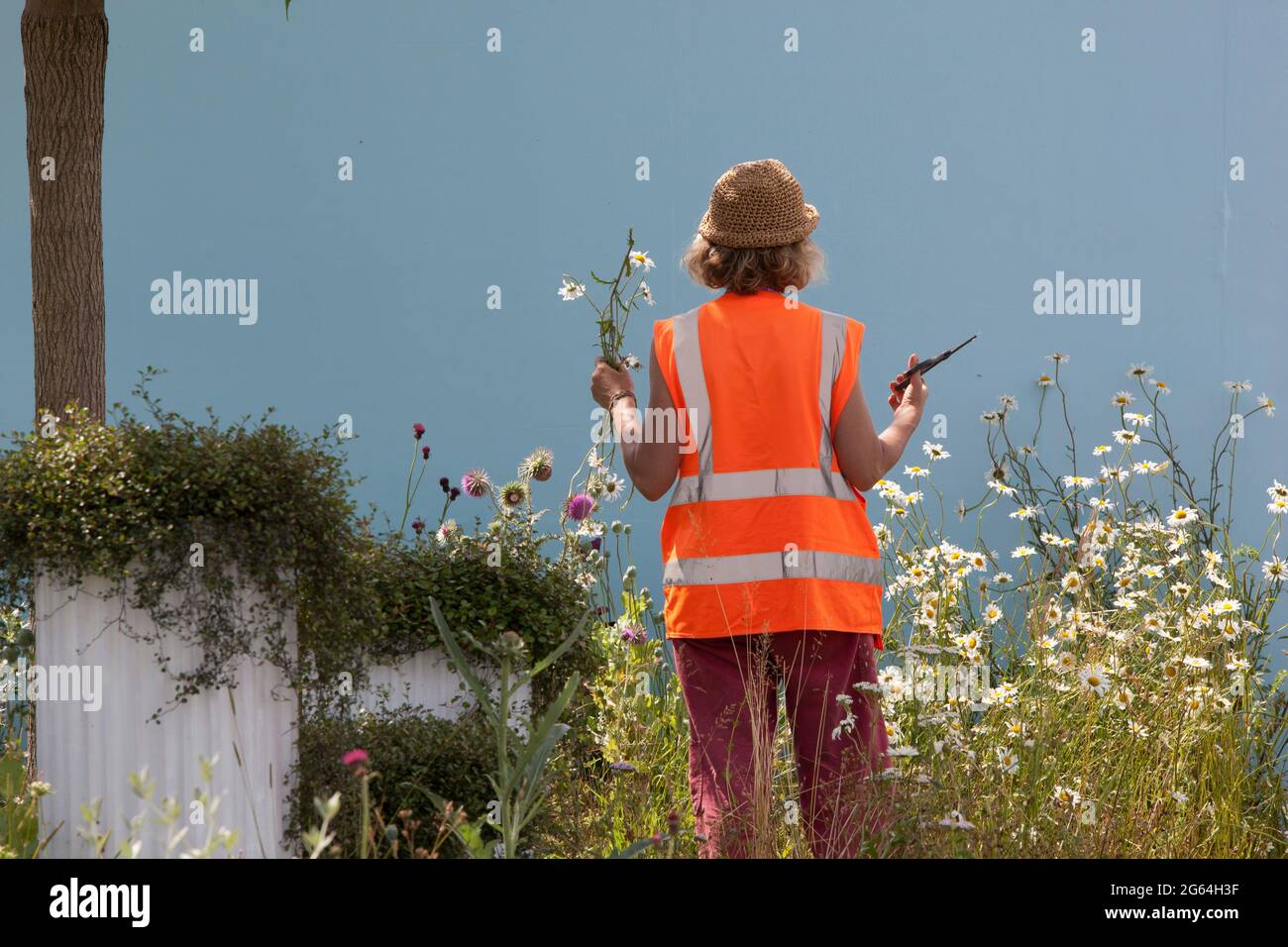 Hampton Court, England, 2. Juli 2021: Die Vorbereitungen für die RHS Hampton Court Blumenschau, die am Dienstag eröffnet wird, laufen. Covid-Sicherheitsmaßnahmen wurden ebenfalls eingeführt, um sicherzustellen, dass die Veranstaltung sicher stattfinden kann. Rachel Royse/Alamy Live News Stockfoto