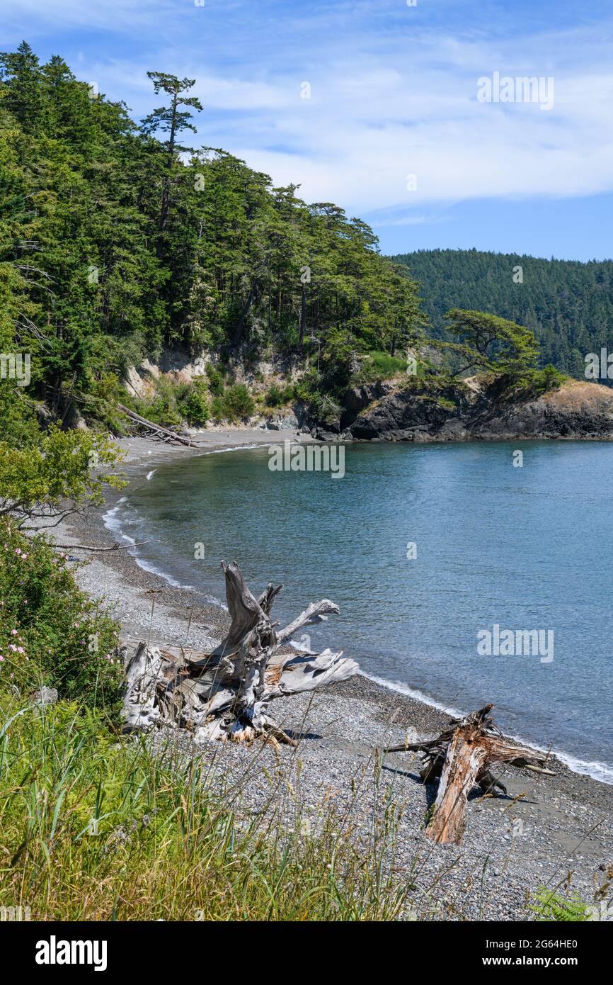 Eine ruhige Bucht mit Treibholz an einem Kiesstrand im pazifischen Nordwesten. Tiefgrüner Wald bedeckt die Landzunge und nähert sich dem Strand darunter Stockfoto