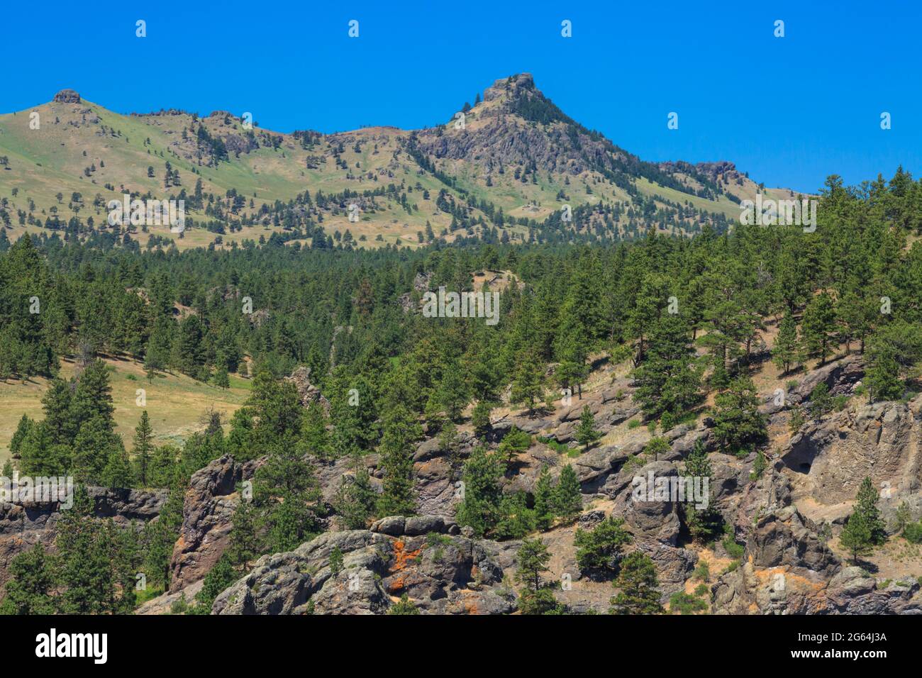 coburn Mountain in der Nähe von craig, montana Stockfoto