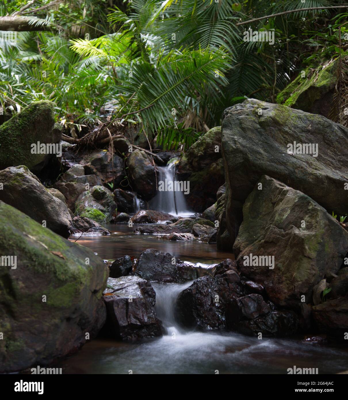 Zeitlupe des kleinen Flusses und des Wasserfalls von Port Douglas, Daintree Rain Forest, Australien Stockfoto
