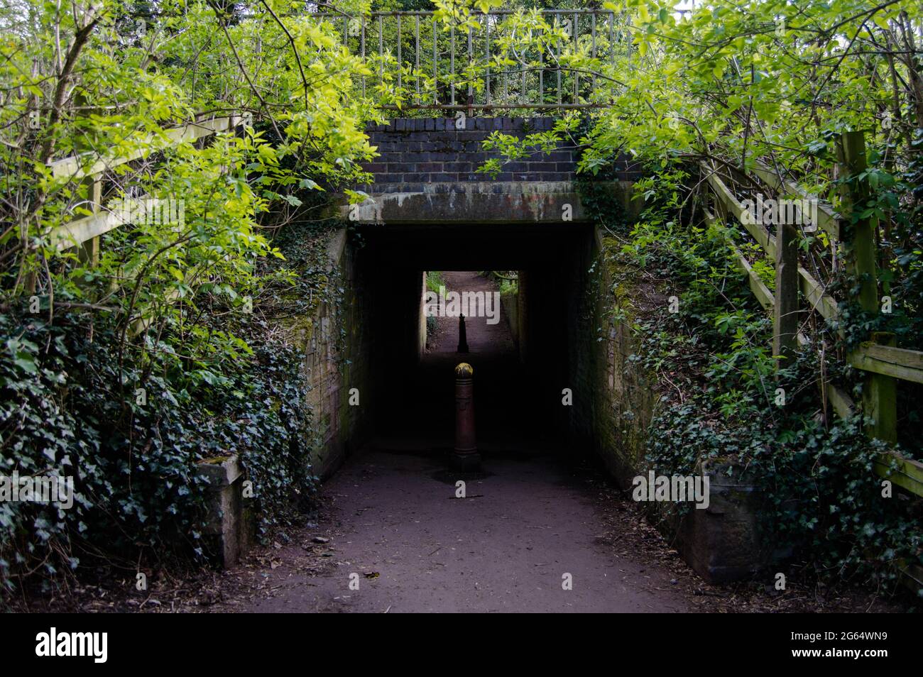 Eine Unterführung durch den Wald unter einer verlassenen Eisenbahnlinie. Stockfoto