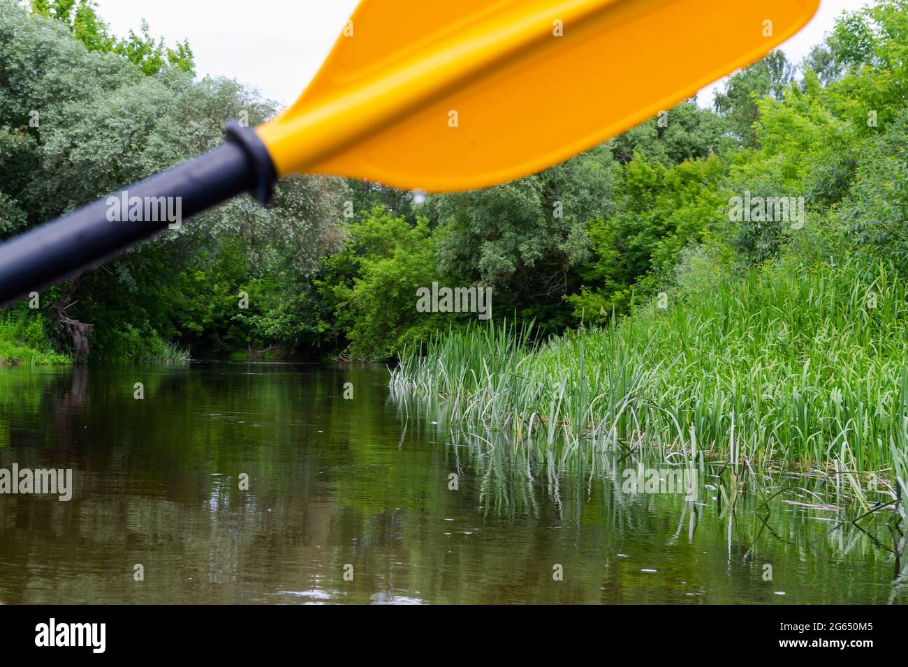 Paddeln Sie für gelbes Rudern auf dem Wasser, während Sie auf dem Fluss Kajakfahren, im Hintergrund der Natur Stockfoto