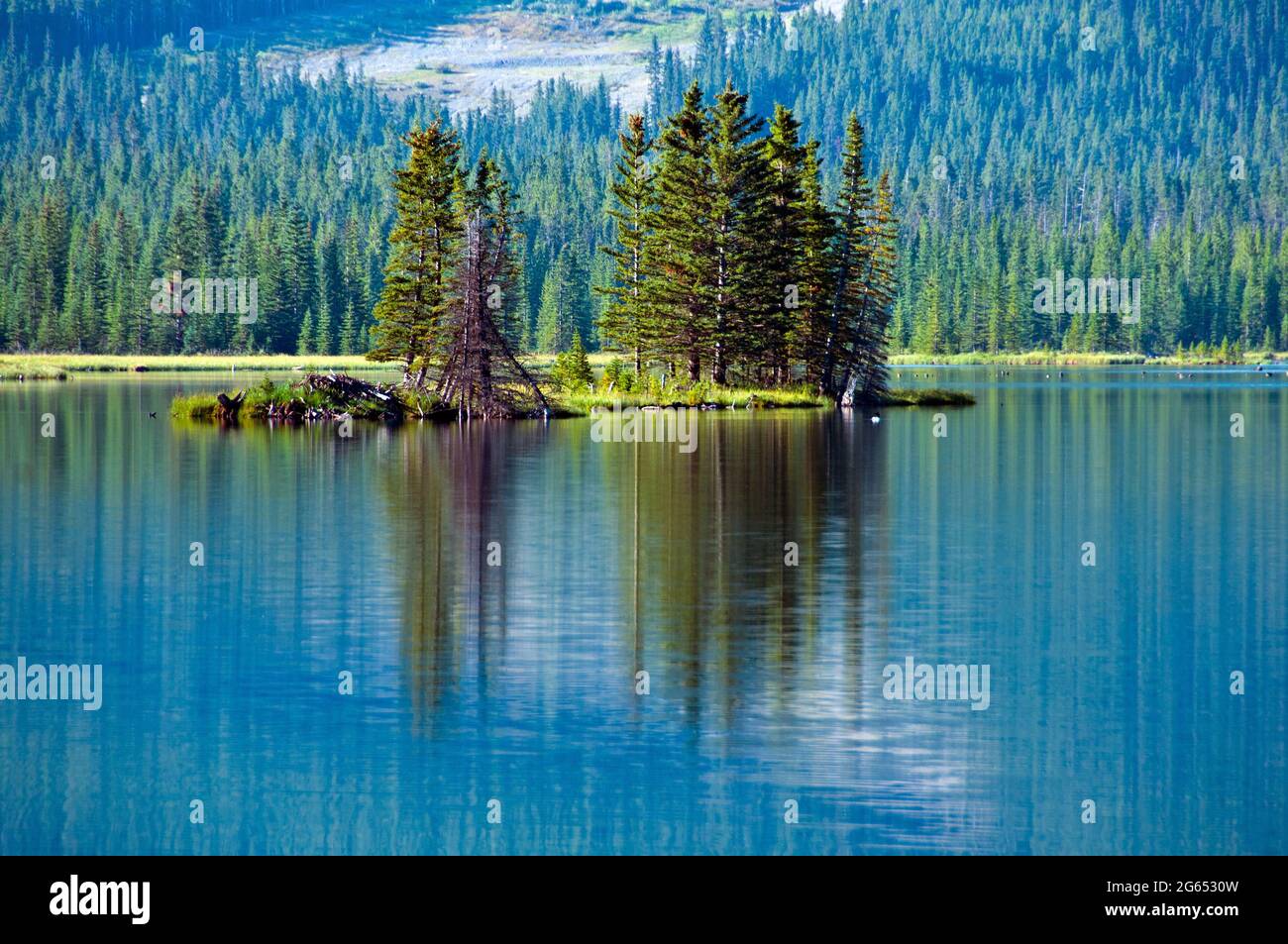 Bäume spiegeln sich in einem ruhigen See, Waterton Park, British Columbia, Kanada Stockfoto