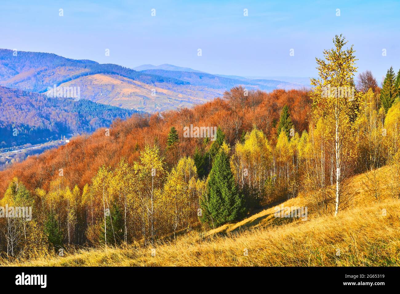 Goldener heller Herbst in den Bergen im Nationalpark. Stockfoto