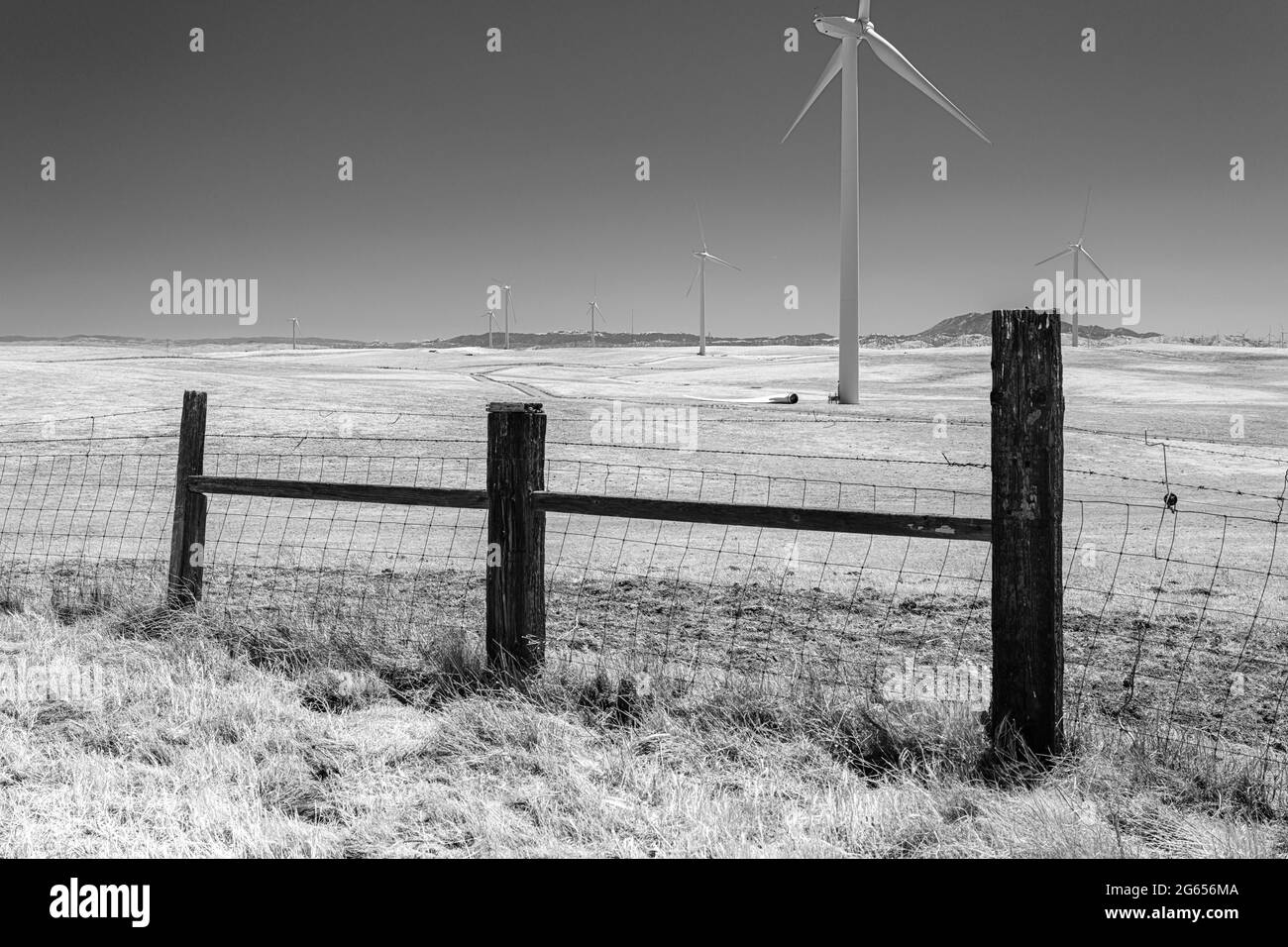 Das Windkraftwerk Shiloh ist ein Windpark in den Montezuma Hills von Solano County, Kalifornien, USA, in der Nähe von Bird's Landing und Collinsville, Stockfoto