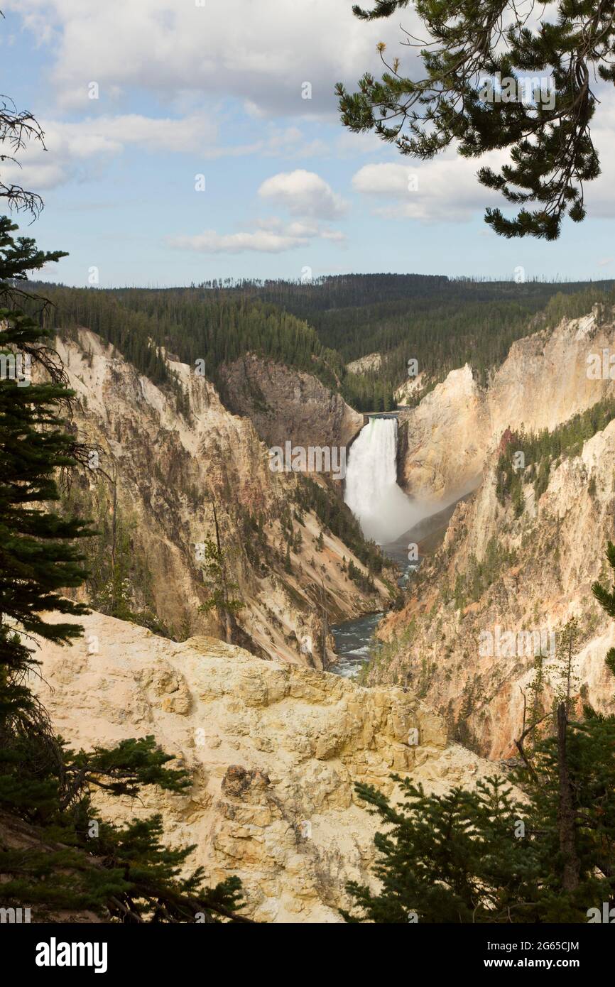 Lower Falls Kaskaden in den Grand Canyon des Yellowstone. Stockfoto