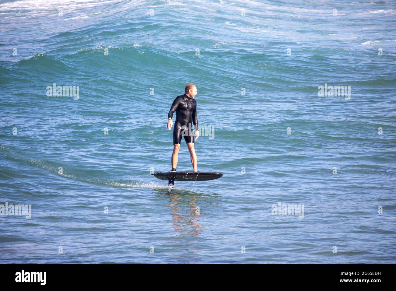 Australischer Mann, der in Sydney auf einem Tragflächenboot-Trifoil-Surfbrett surft, Sydney Ocean, Australien Stockfoto