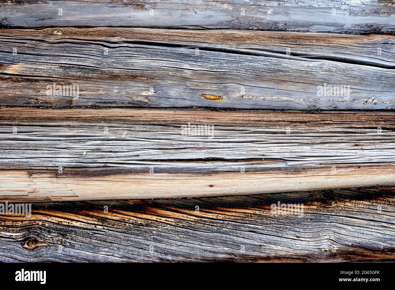 Die Wand eines Holzhauses aus alten Baumstämmen Stockfoto