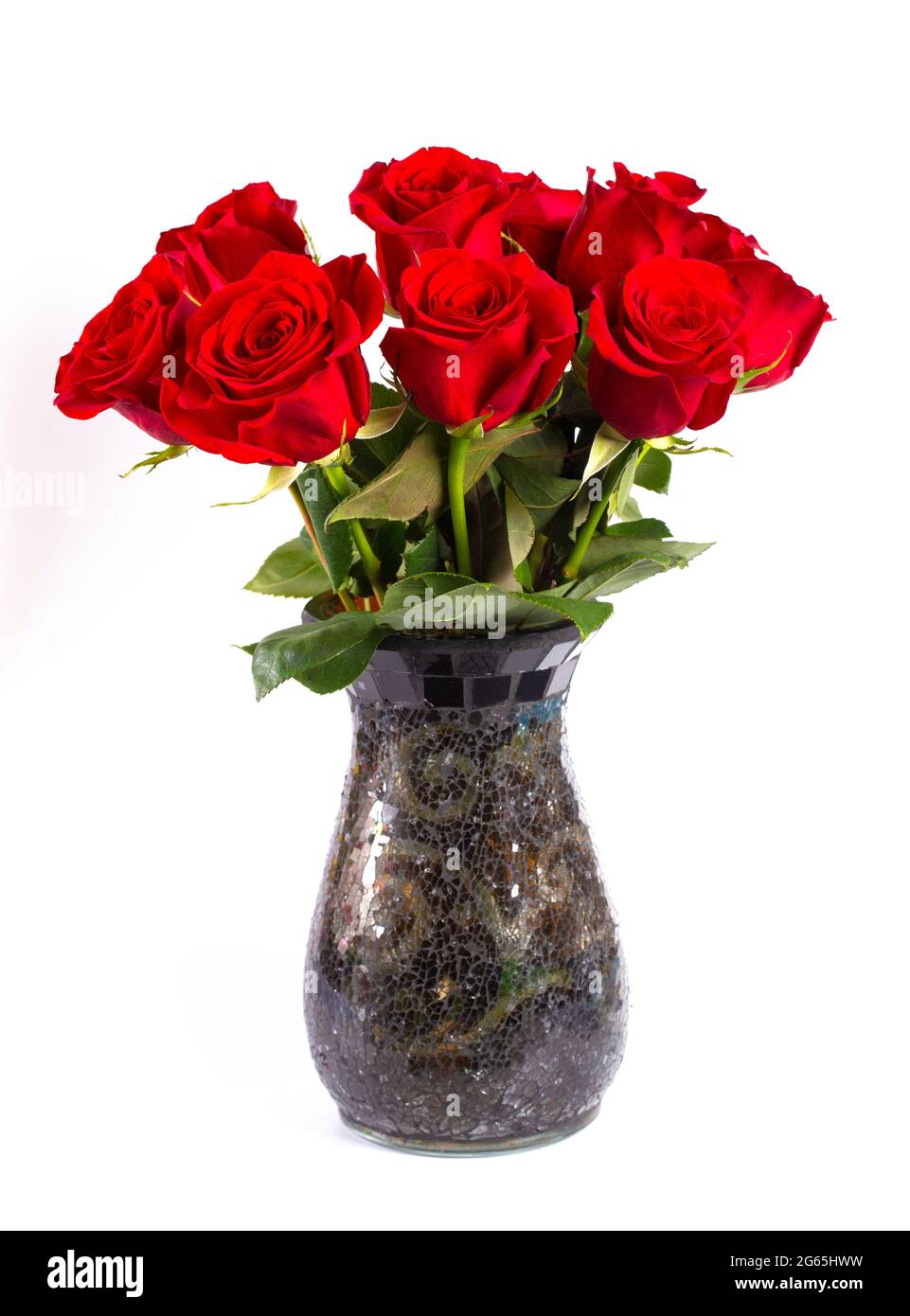 Ein Dutzend rote Rosen in einer Vase isoliert auf weißem Hintergrund Stockfoto