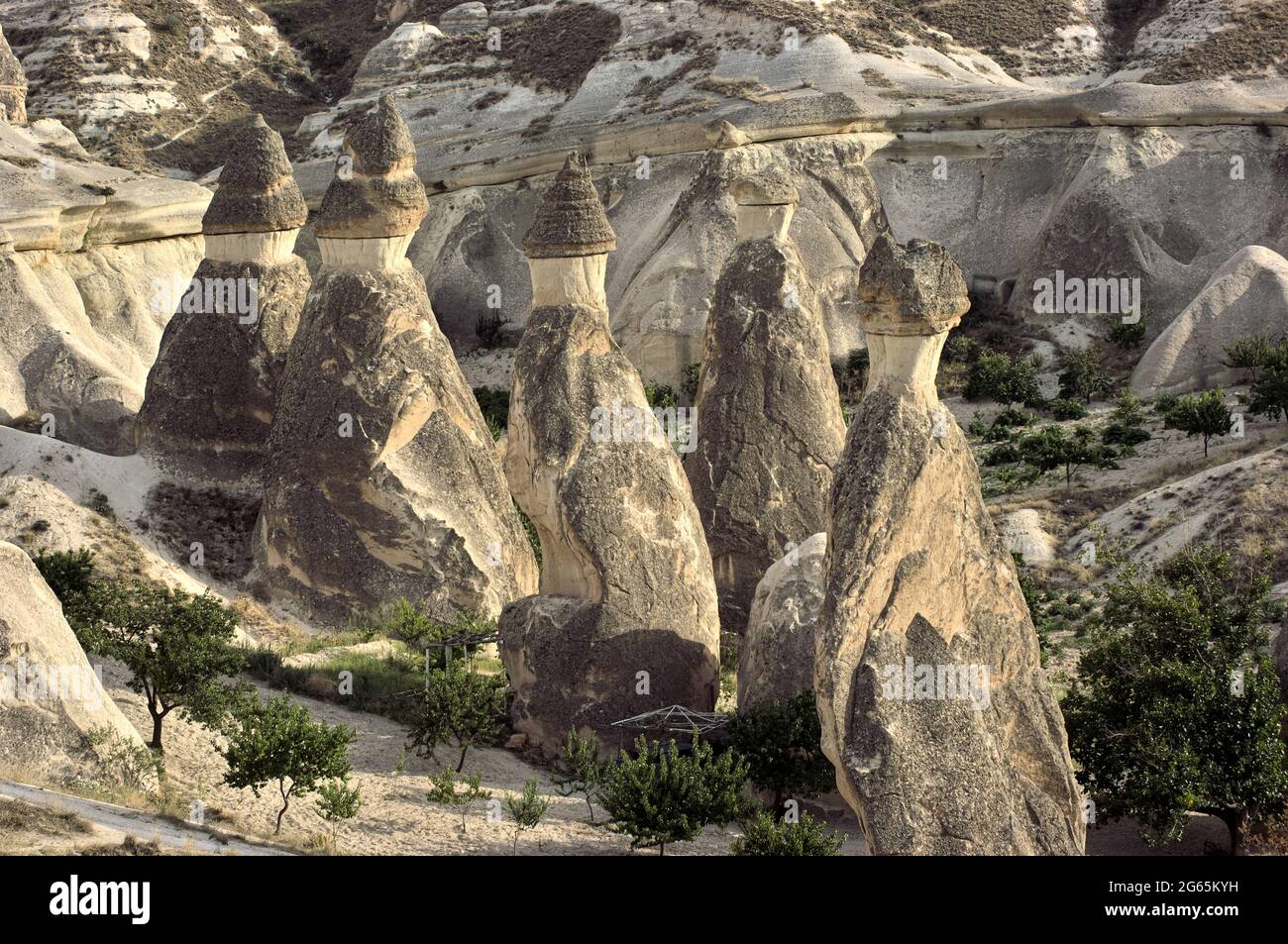 Wahrzeichen der Natur in der Türkei die Feenkamine sind vulkanische Felsformationen in Kappadokien bei Zelve Stockfoto