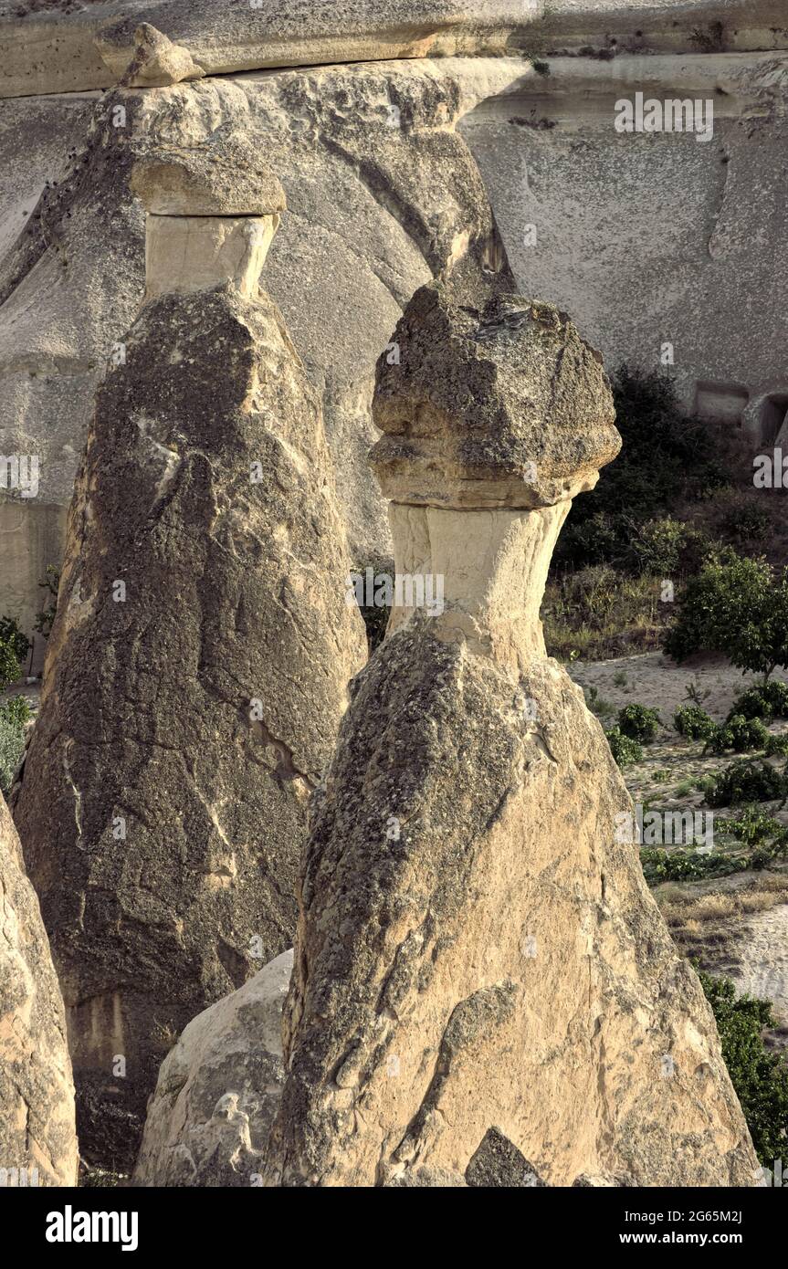 Wahrzeichen der Natur in der Türkei die Feenkamine sind vulkanische Felsformationen in Kappadokien bei Zelve Stockfoto