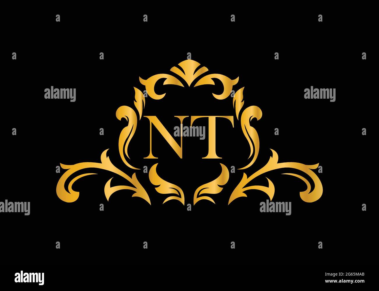 Luxus-Buchstaben NT. Goldenes Blumenalphabet . Monogram Initialen perfekt für Hochzeitseinladungen, Grußkarte, Logo und anderes Design. Stock Vektor