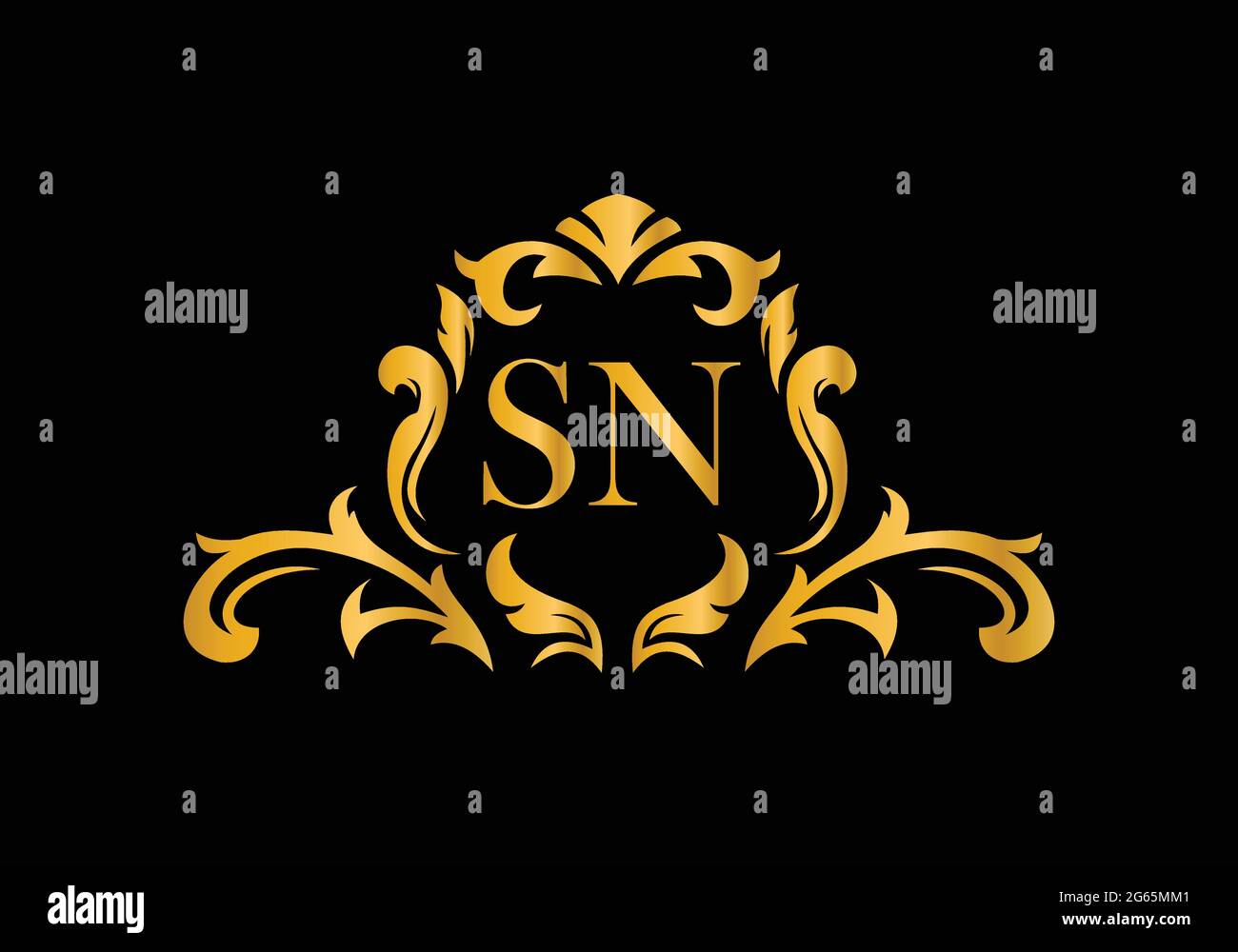 Luxus-Buchstaben SN. Goldenes Blumenalphabet . Monogram Initialen perfekt für Hochzeitseinladungen, Grußkarte, Logo und anderes Design. Stock Vektor