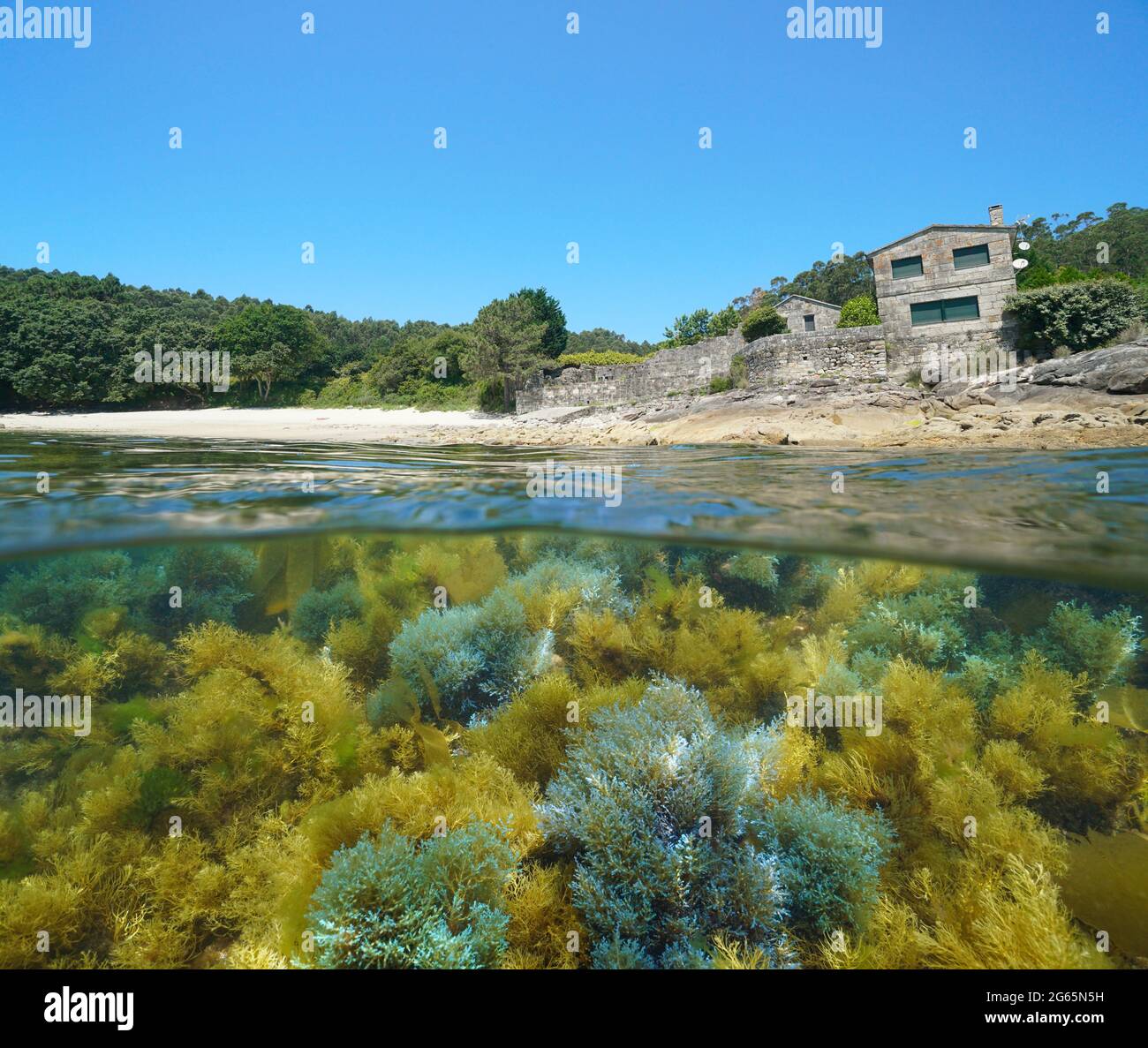 Spanien Galicien, Strand mit Küstenhaus und Algen unter Wasser, Split Blick über und unter Wasser Oberfläche, Cangas de Morrazo, Atlantik, Pontevedra Stockfoto
