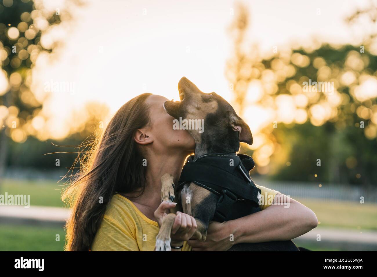 Junge Frau küsst ihren Hund im Park Stockfoto