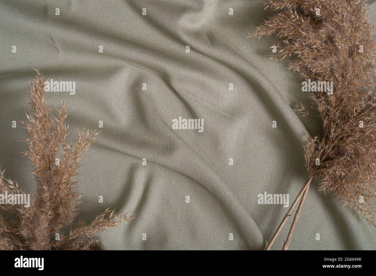 Grün neutral gefärbtes Textil, Leinenstoff in der Nähe von Dekor trockene Pampas Gras Stockfoto