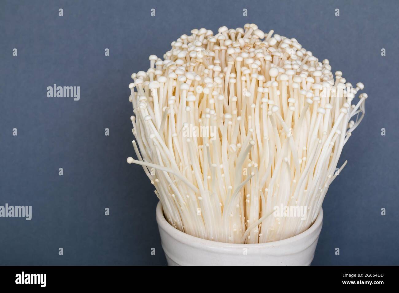 Haufen Enokitake Pilze auf grauem Hintergrund. Speicherplatz kopieren. Stockfoto