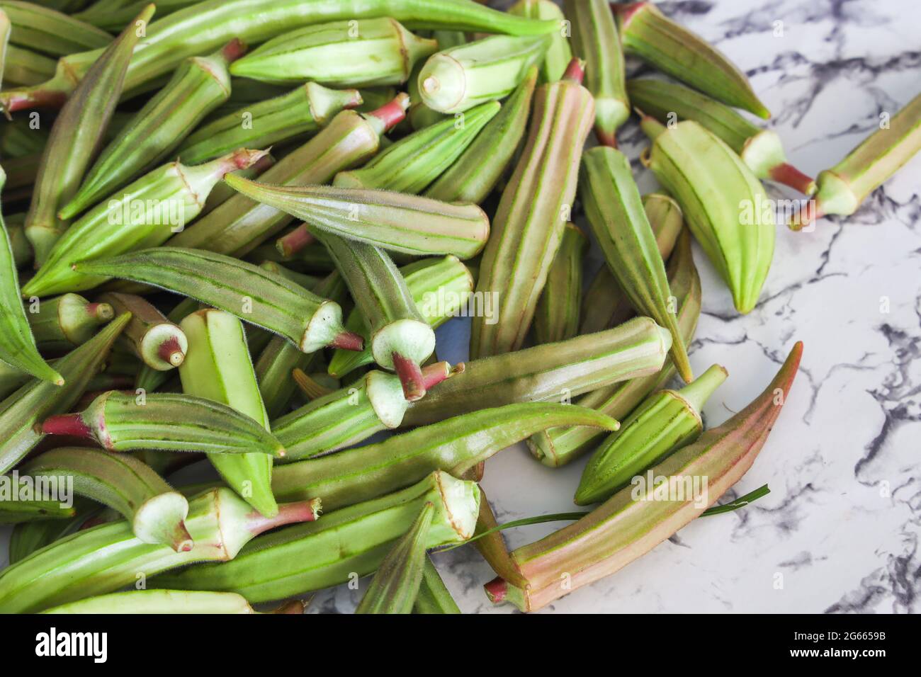 Okra oder Okro, Abelmoschus esculentus, Ladies' Fingers Pflanzen. Es wird für seine essbaren grünen Samenschoten geschätzt. Rohkost, Kopierraum. Stockfoto