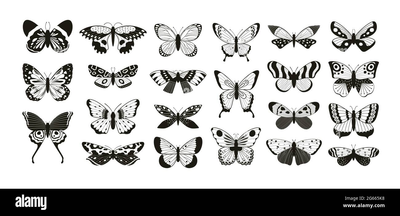 Schmetterlinge Silhouetten. Motte und Schmetterling Flügel Muster Laser geschnitten Umriss. Fliegendes Insekt-Deko-Element. Schmetterlinge Tattoo Vektor-Set Stock Vektor