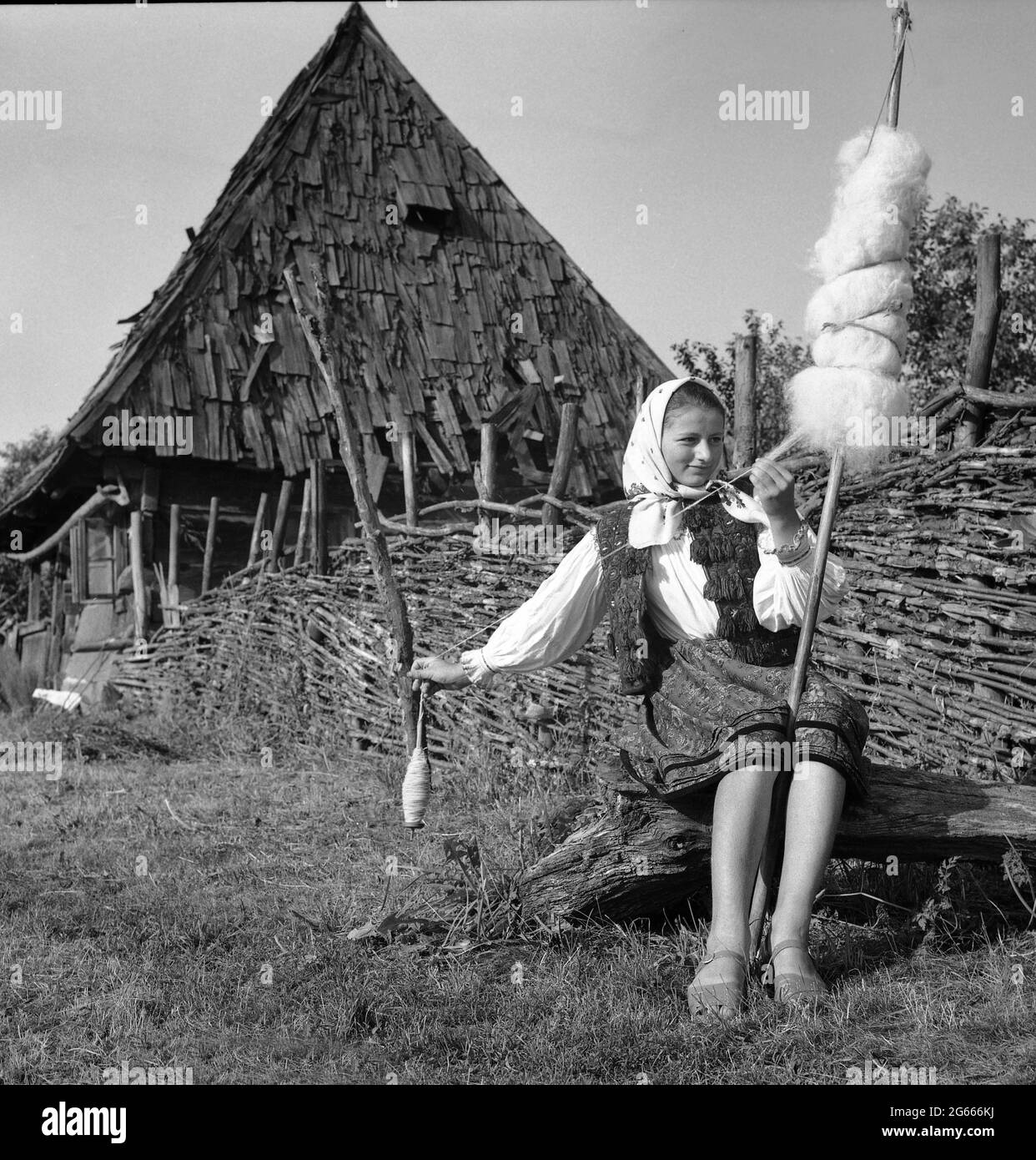 Maramures, Rumänien, 1974. Junges Mädchen mit einer alten traditionellen Technik und Werkzeugen zum Spinnen von Wolle. Ungesponnene Wolle wird um einen Stab gebunden (links) und das Mädchen zieht die Fasern aus, während es die Spindel spinnt. Stockfoto