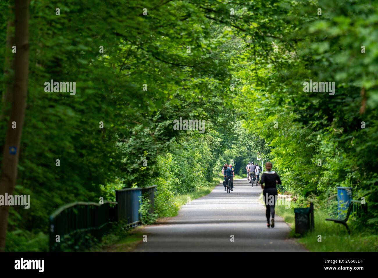 Die Grugatrasse, ehemalige Bahnstrecke, jetzt Radweg, Fußweg, von Mülheim über Essen-Rüttenscheid, nach Essen-Steele, Essen, NRW, Deutschland, Stockfoto