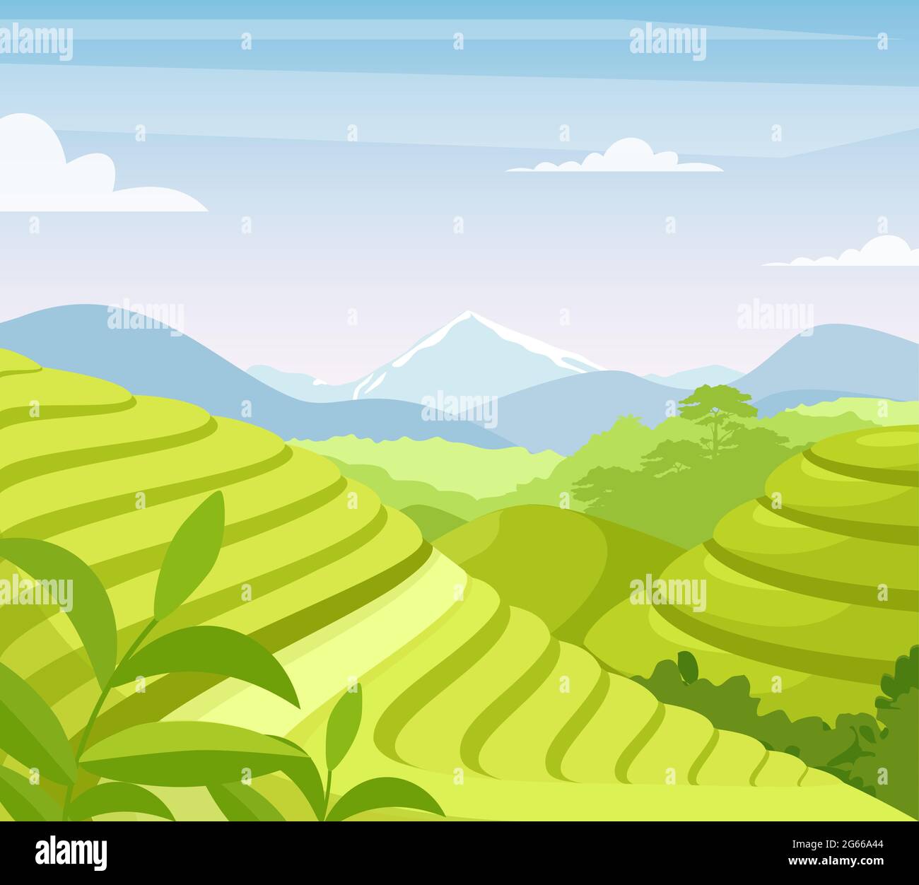 Flache Vektorgrafik für Teeplantagen. Asien Land Ackerland Felder. Asiatische ländliche Wiese und Hügel Cartoon-Landschaft. Teeblätter wachsen im Boden Stock Vektor