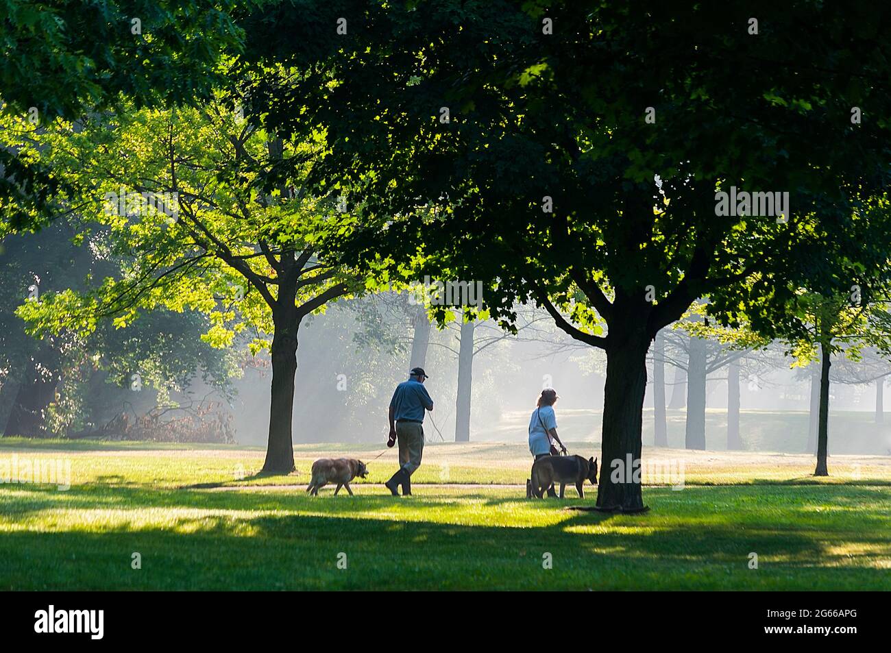 Zwei Senioren, ein Mann und eine Frau, mit ihren Hunden in einem schönen Park, Ontario, Kanada. Leichter Nebel schafft eine luftige Kulisse für die dichten Bäume. Stockfoto