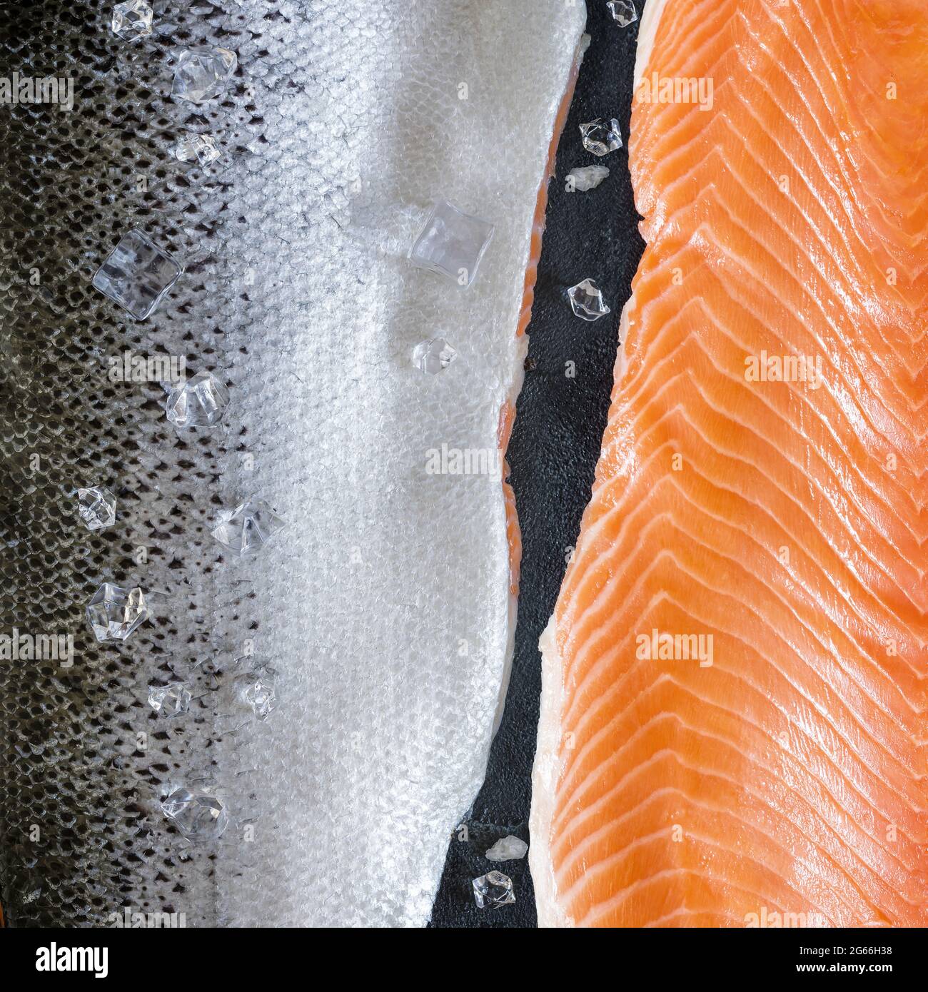 Lebensmittelzusammensetzung mit großen rohen, roten Fischstücken mit Eiswürfeln vor dem Kochen. Natürlicher, frischer Meeresfisch, Lachsfilet auf schwarzem Stein Stockfoto