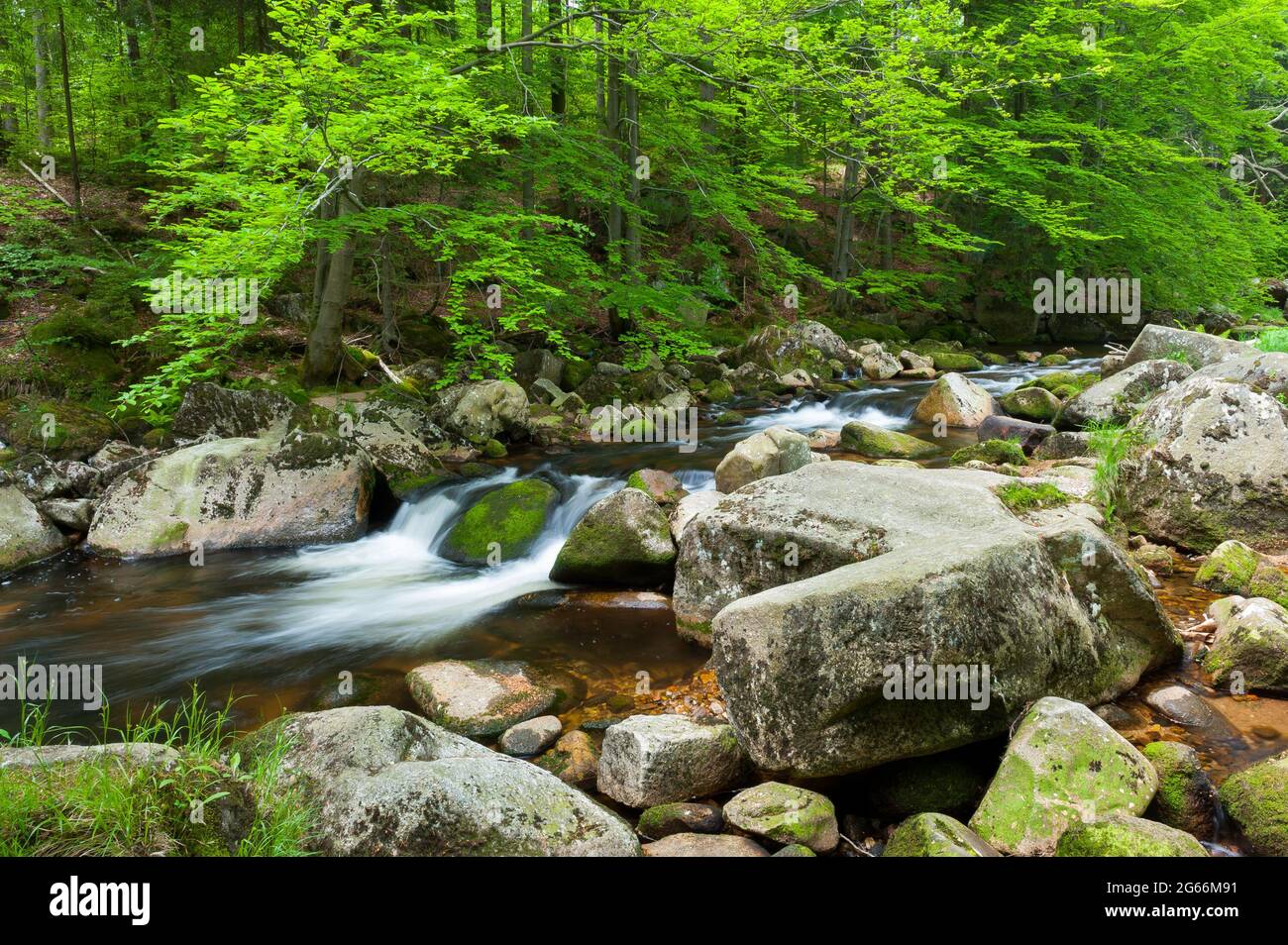 Kamienna Fluss in Szklarska Poręba, Karkonosze Gebirge, Polen Stockfoto