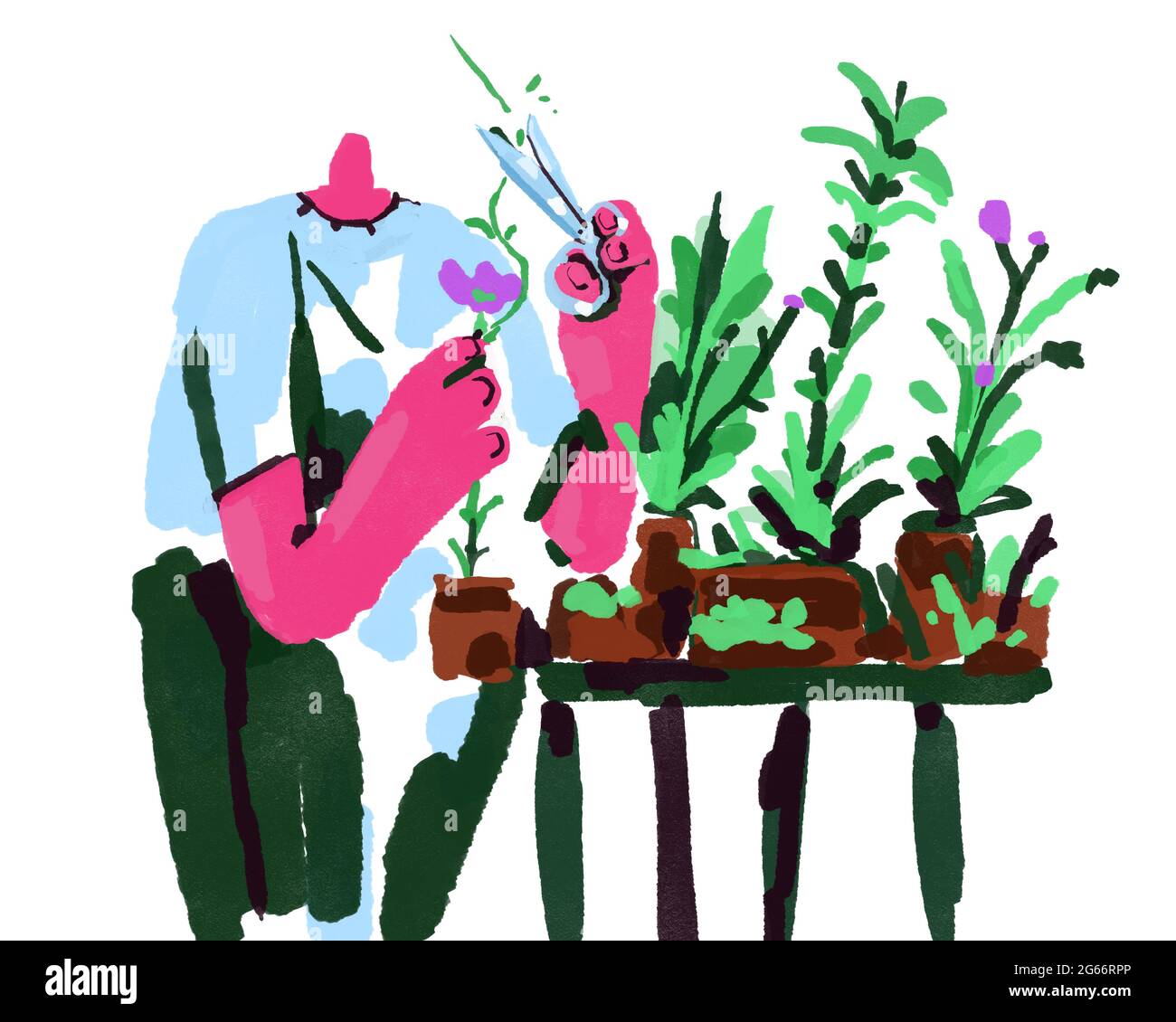 Mann Gartenarbeit und Schneiden von Pflanzen mit einer Schere. Malen mit einem Hauch von Farbe und Impressionismus Aquarell Zeichnung. Moderne Farbe isoliert auf Weiß. Stockfoto