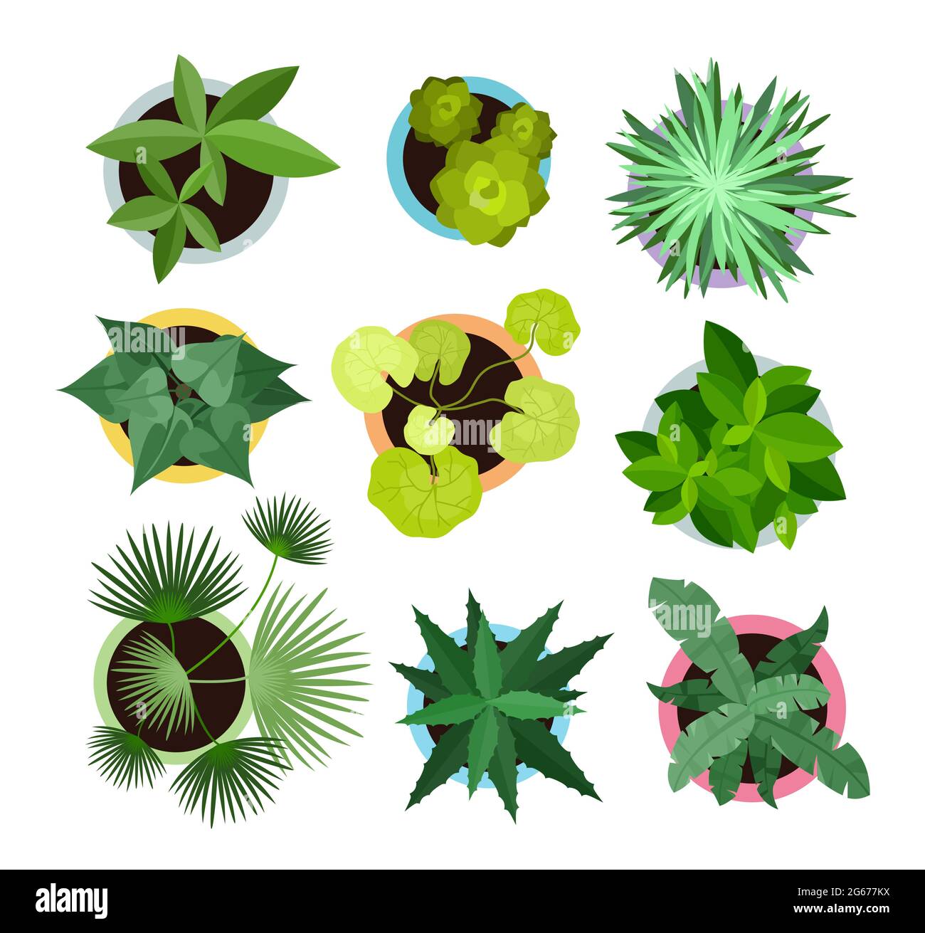 Vektor-Illustration Satz von verschiedenen Hauspflanzen in Töpfen isoliert auf weißem Hintergrund. Draufsicht Sammlung von Pflanzen, Kaktus in flachen Cartoon-Stil. Stock Vektor
