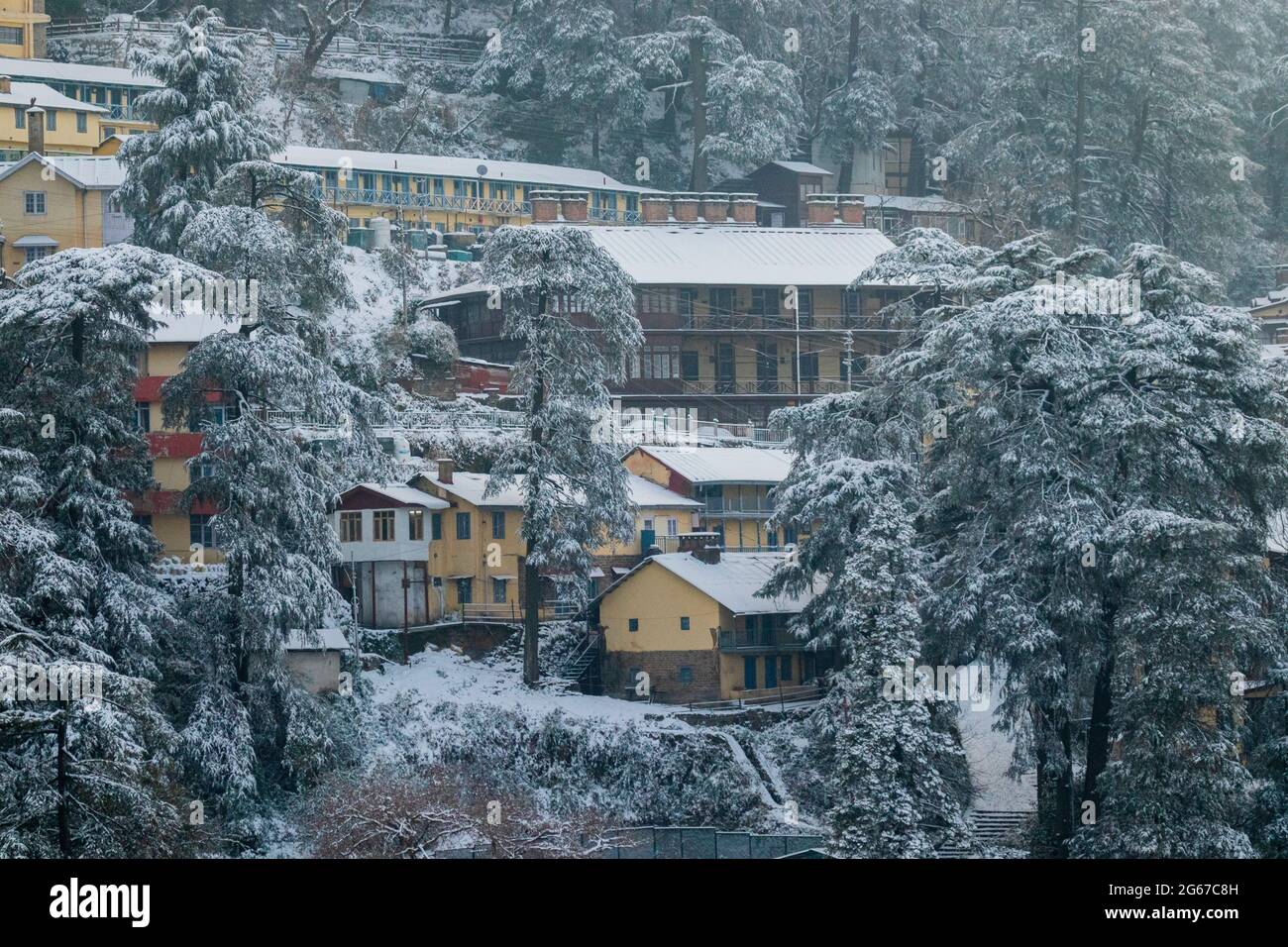 Neueste Ansichten von Schneefall in Shimla Stockfoto