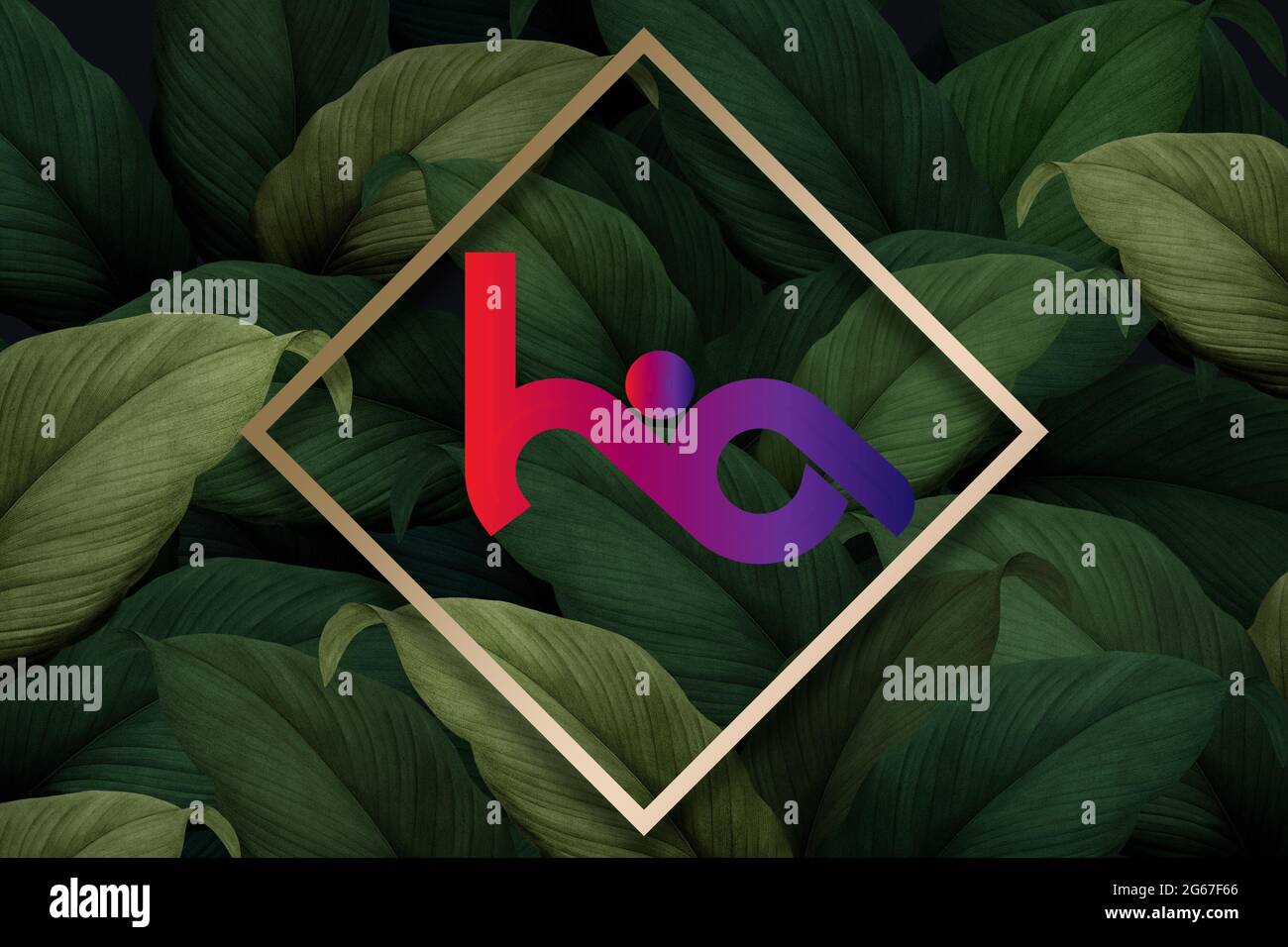 HA-Logo-Design Stockfoto