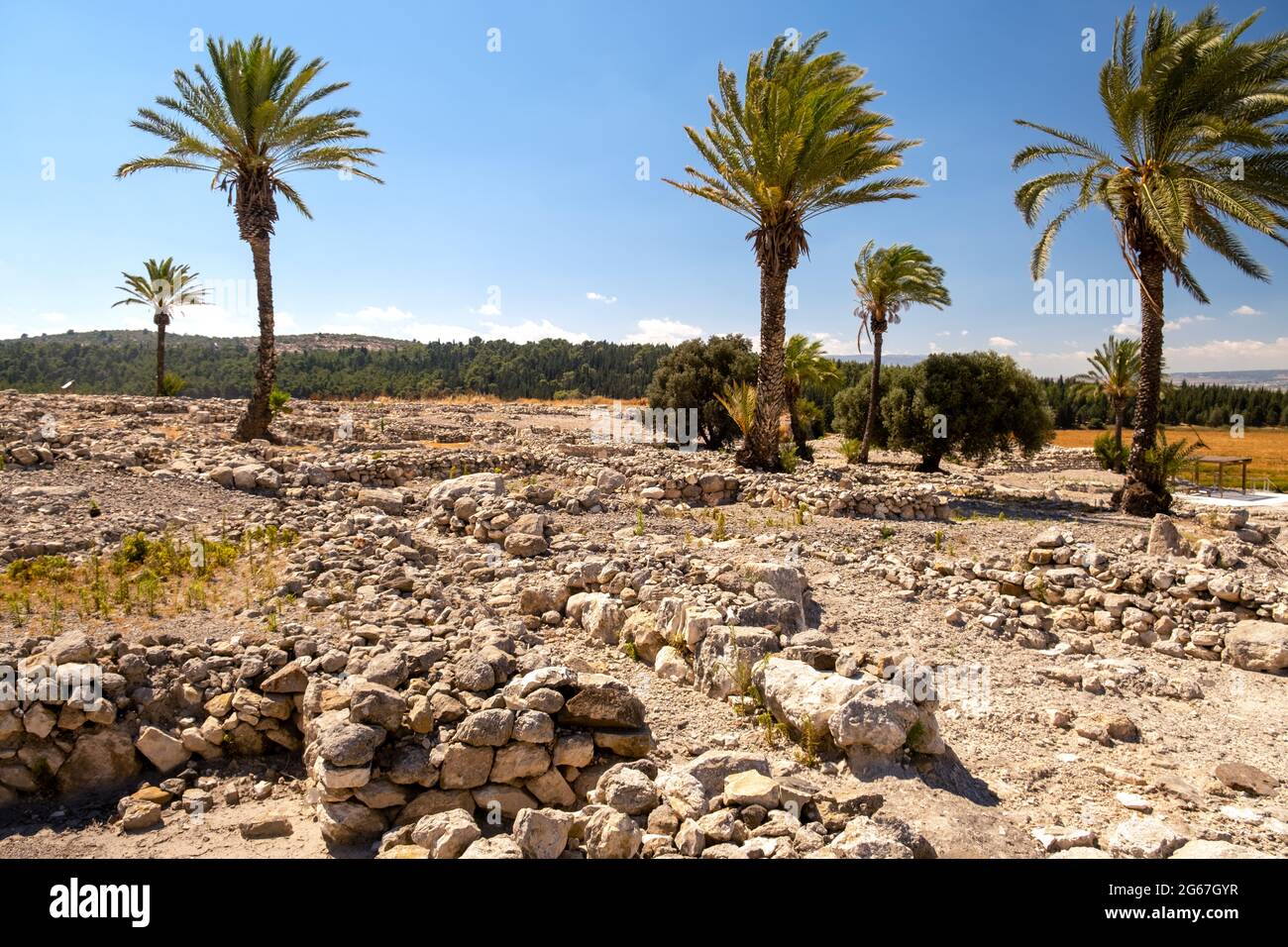 Megido Kanaaniter und Israelit. Hochwertiges Foto aus Israel Stockfoto