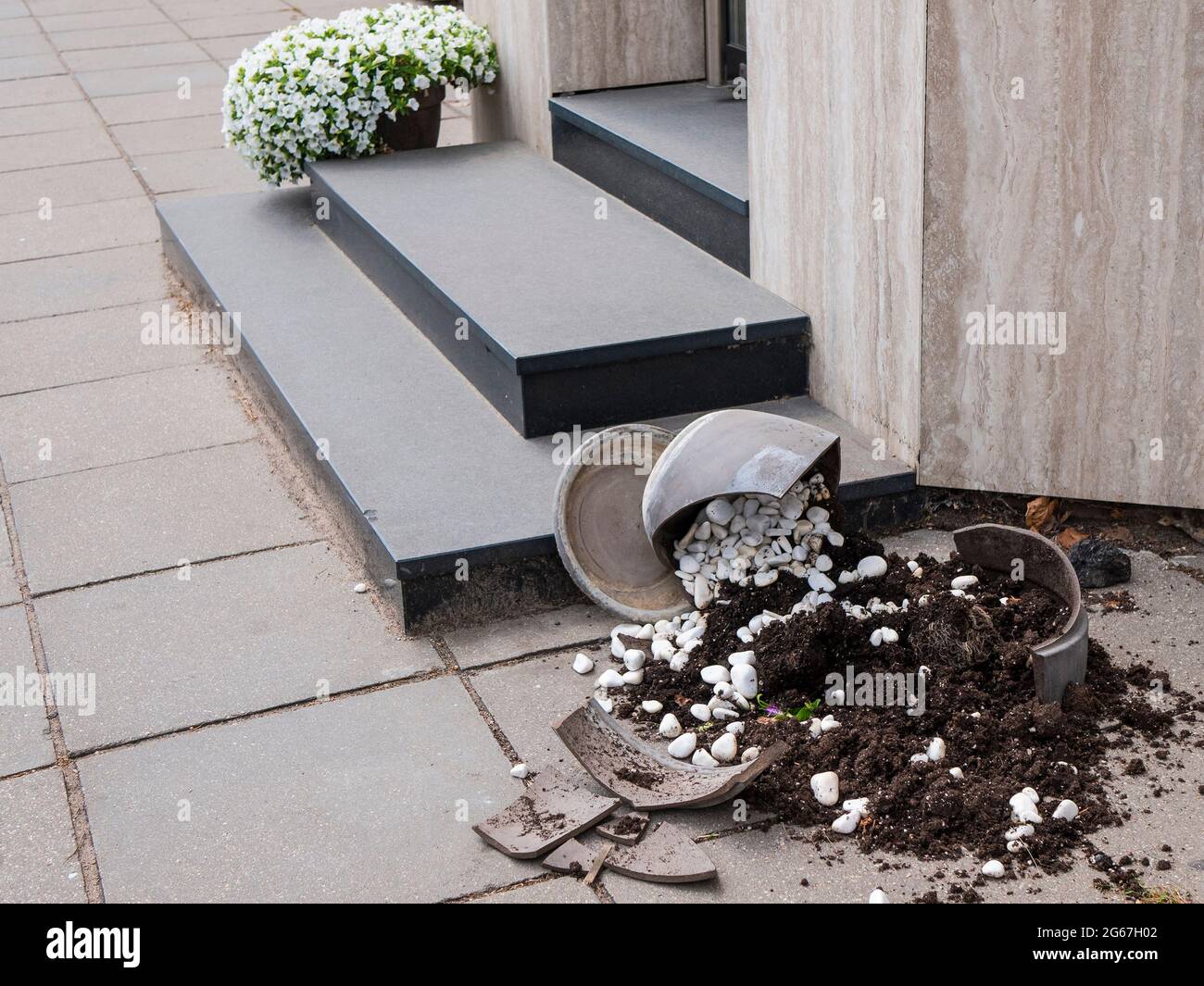 Kaputtes Straßenblumenbecken, Erde und Abflusskiesel auf dem Boden auf der Straße. Konzept von Vandalismus Stockfoto