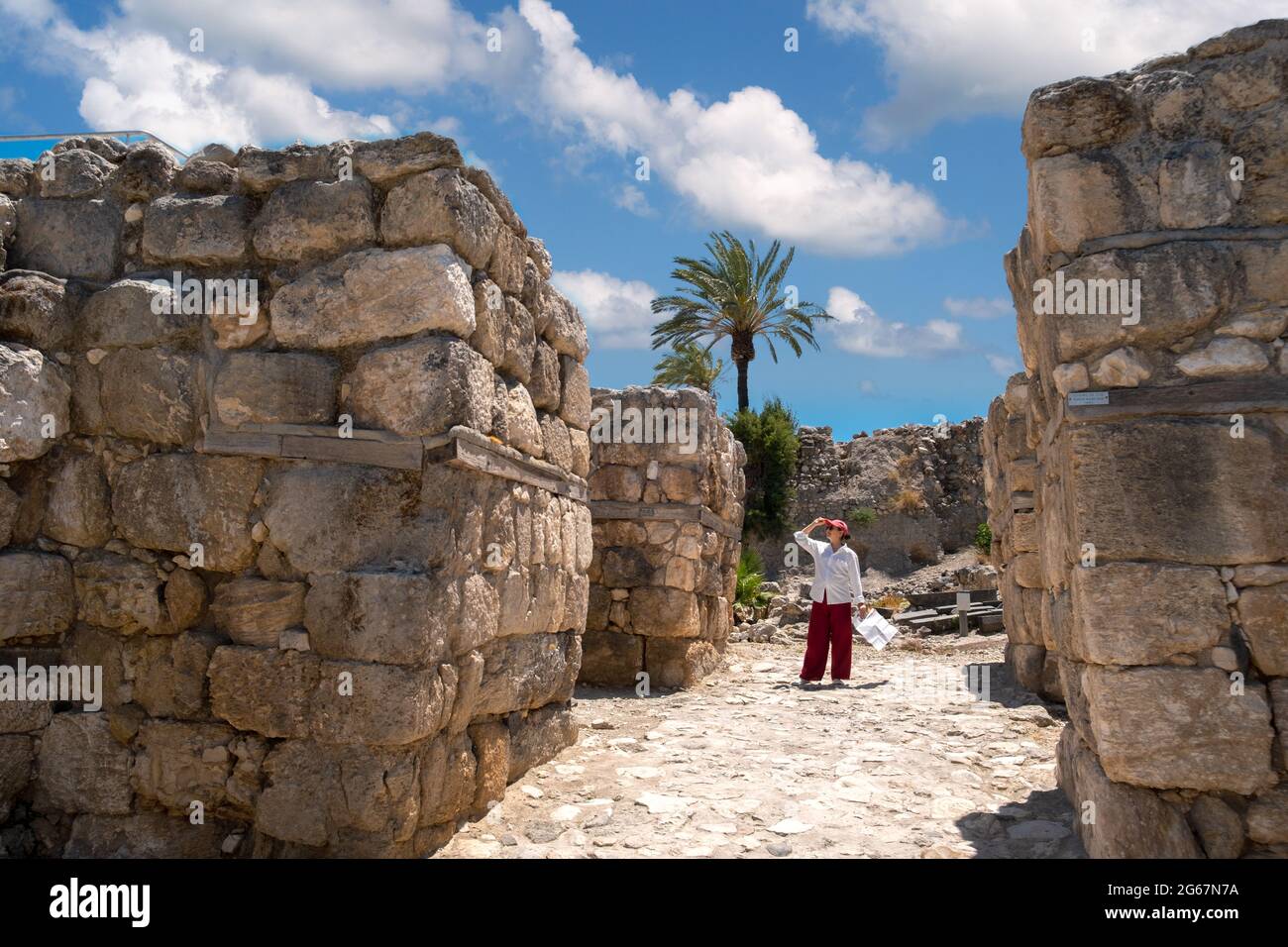 Tourist mit einer Karte auf einer Tour des Meggido in Israel. Sonniger Tag und gute Laune auf Ausflügen Stockfoto