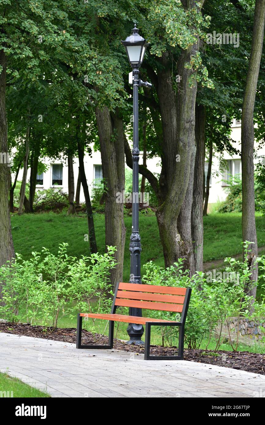 Parkbank zwischen Bäumen und Laternen. Sommer. Stockfoto